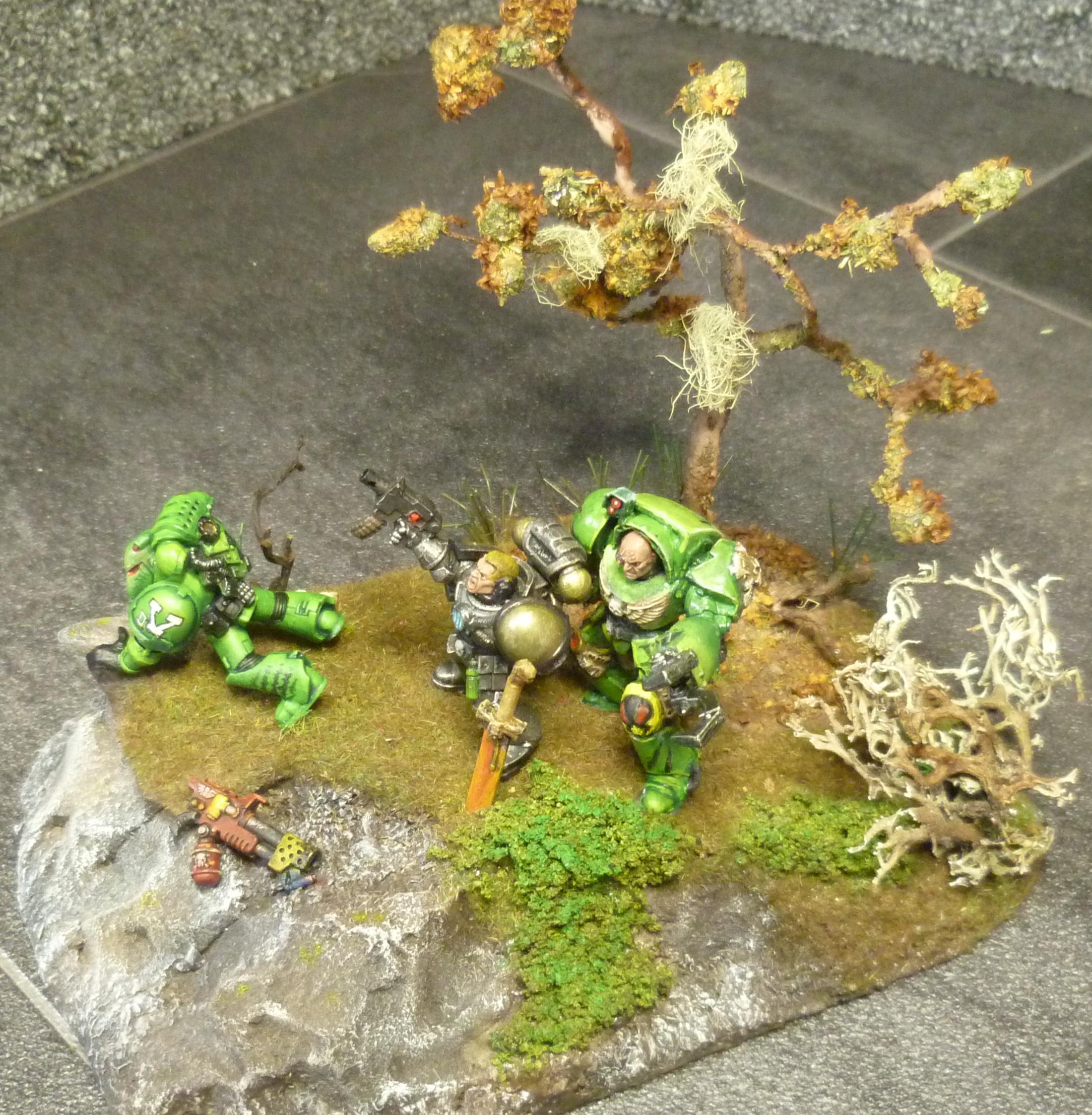 Mantis Warrior, Age before Beauty!
