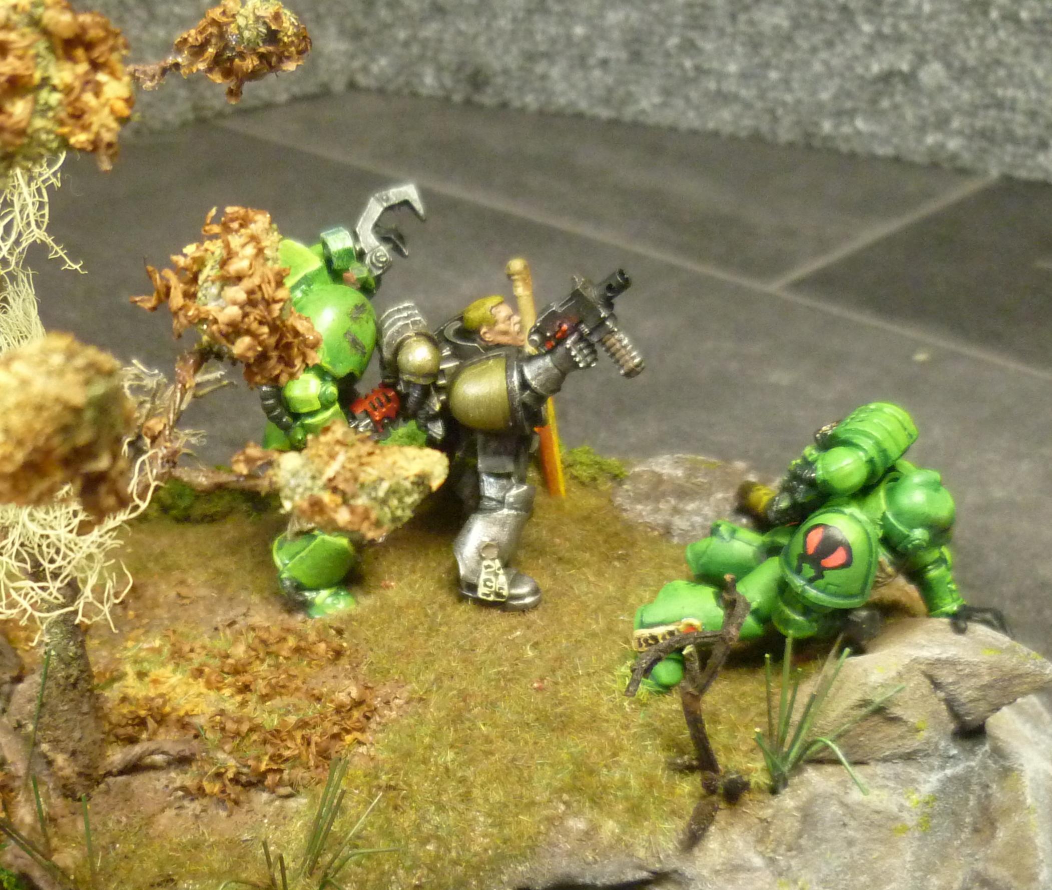 Mantis Warrior, Age before Beauty!