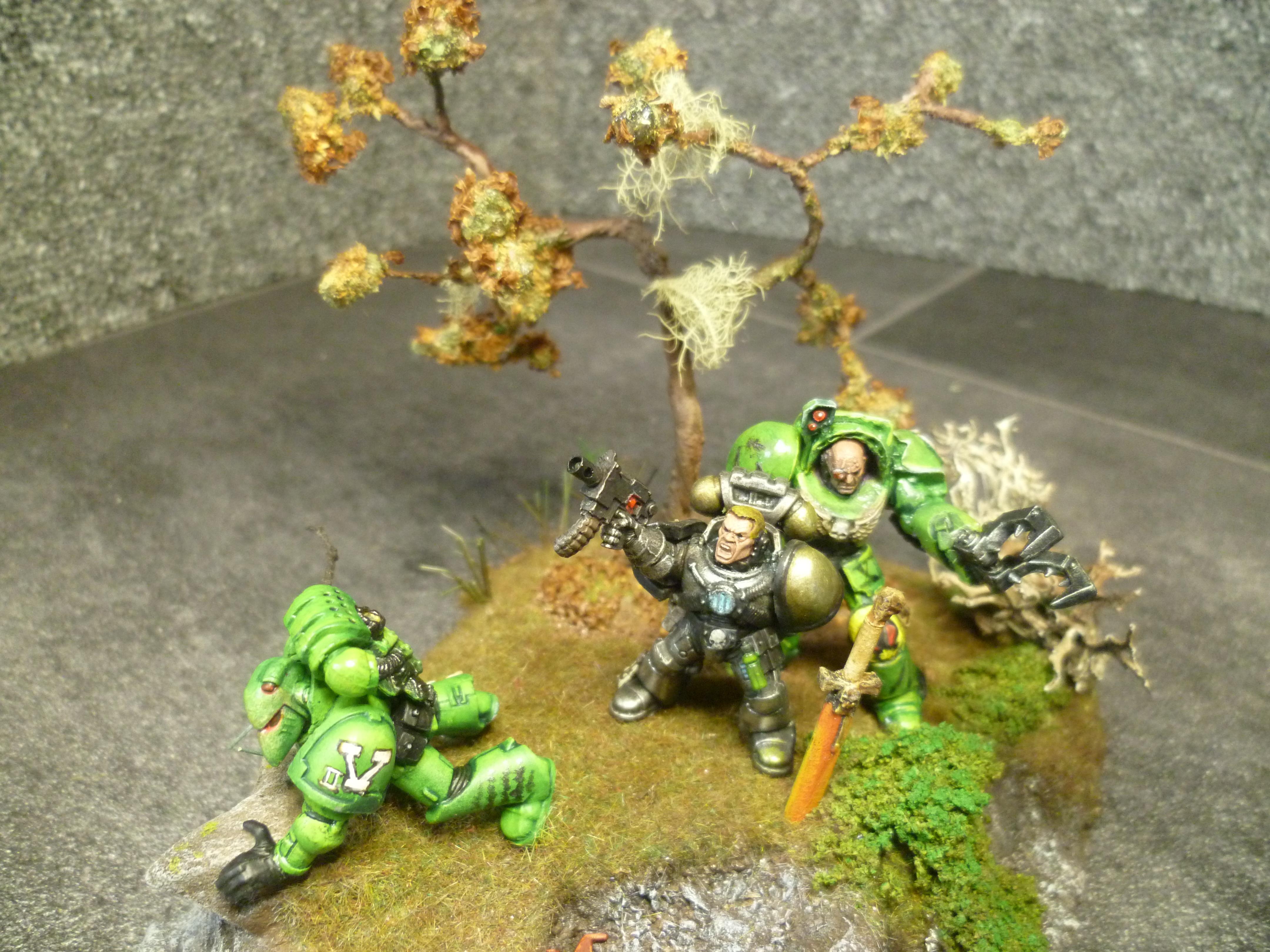 Mantis Warrior, Age before Beauty!