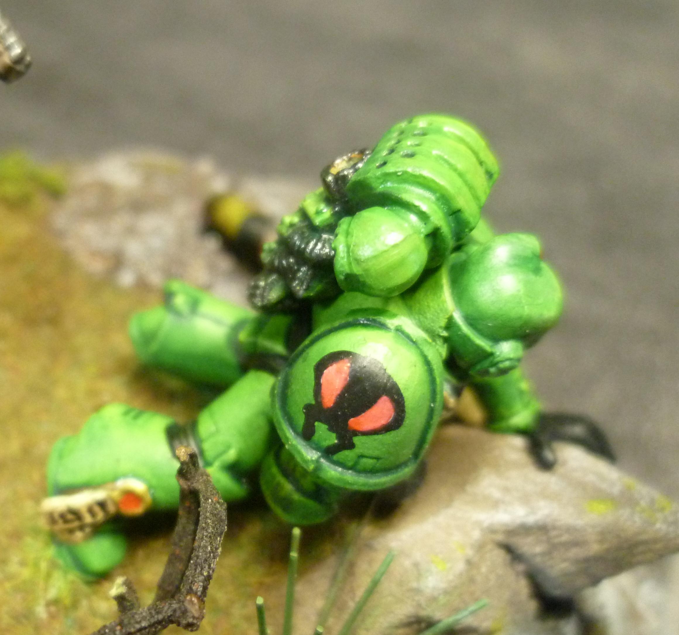 Mantis Warrior, Age before Beauty!