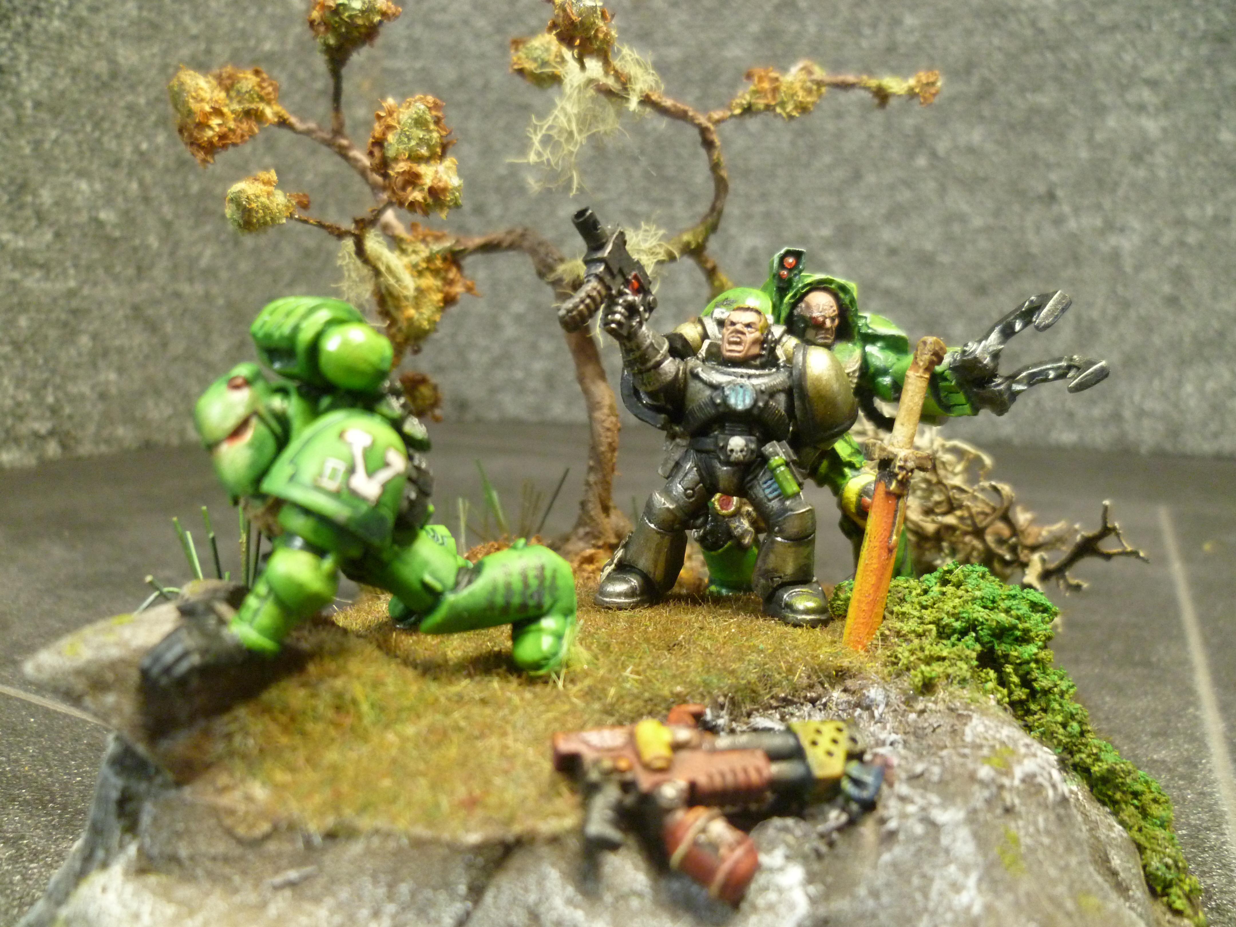 Mantis Warrior, Age before Beauty!