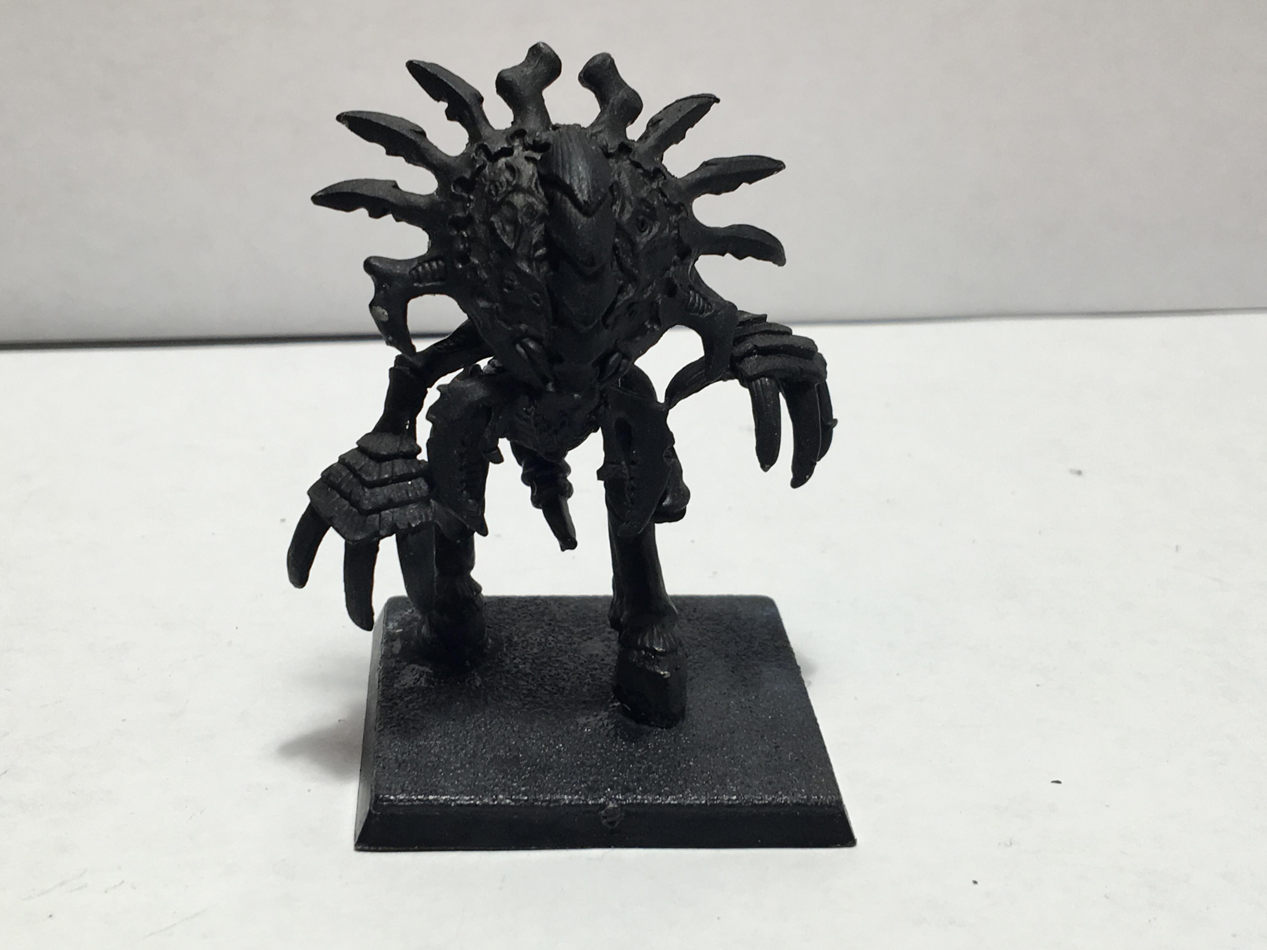 Zoanthrope