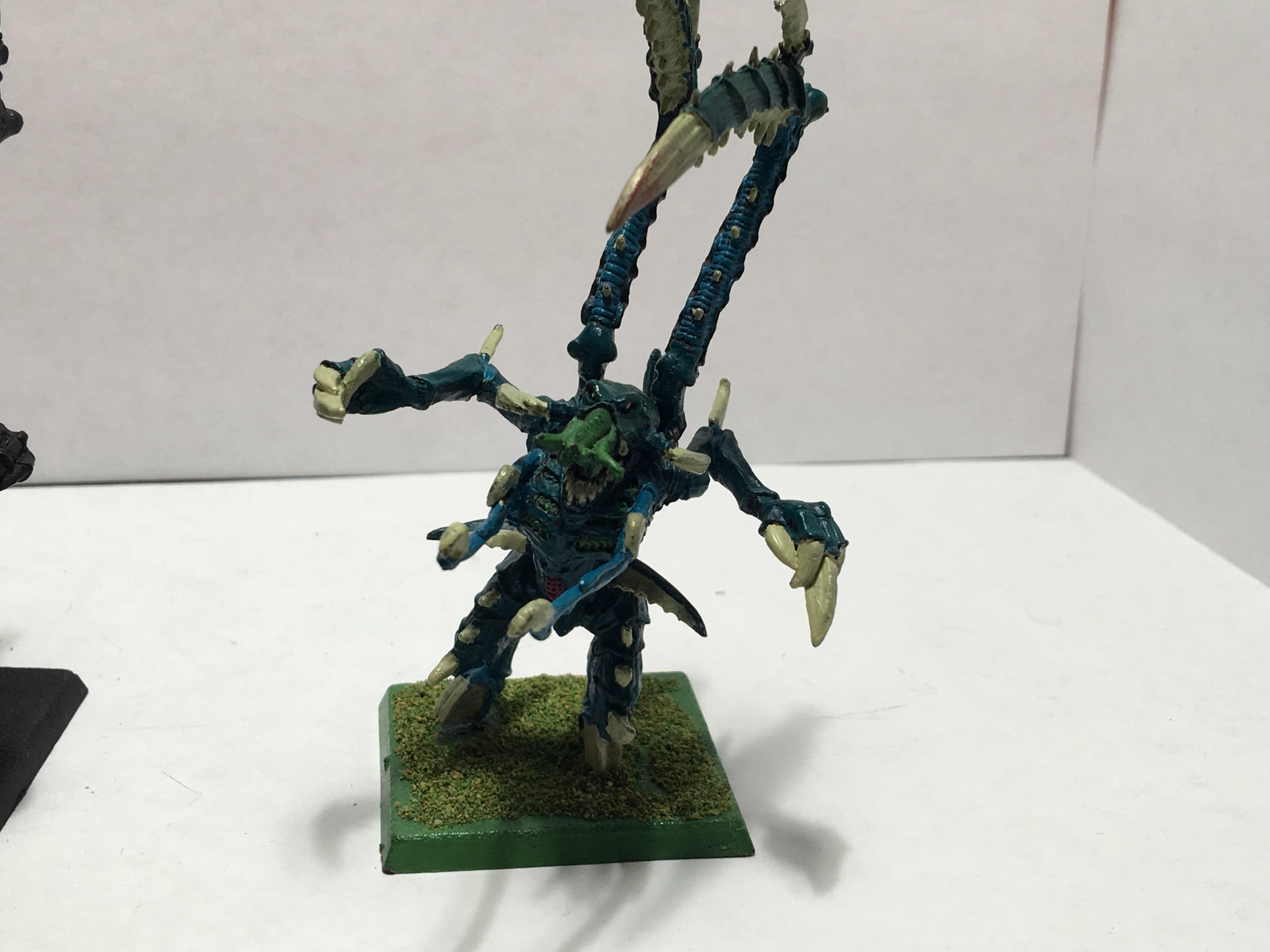 Lictor