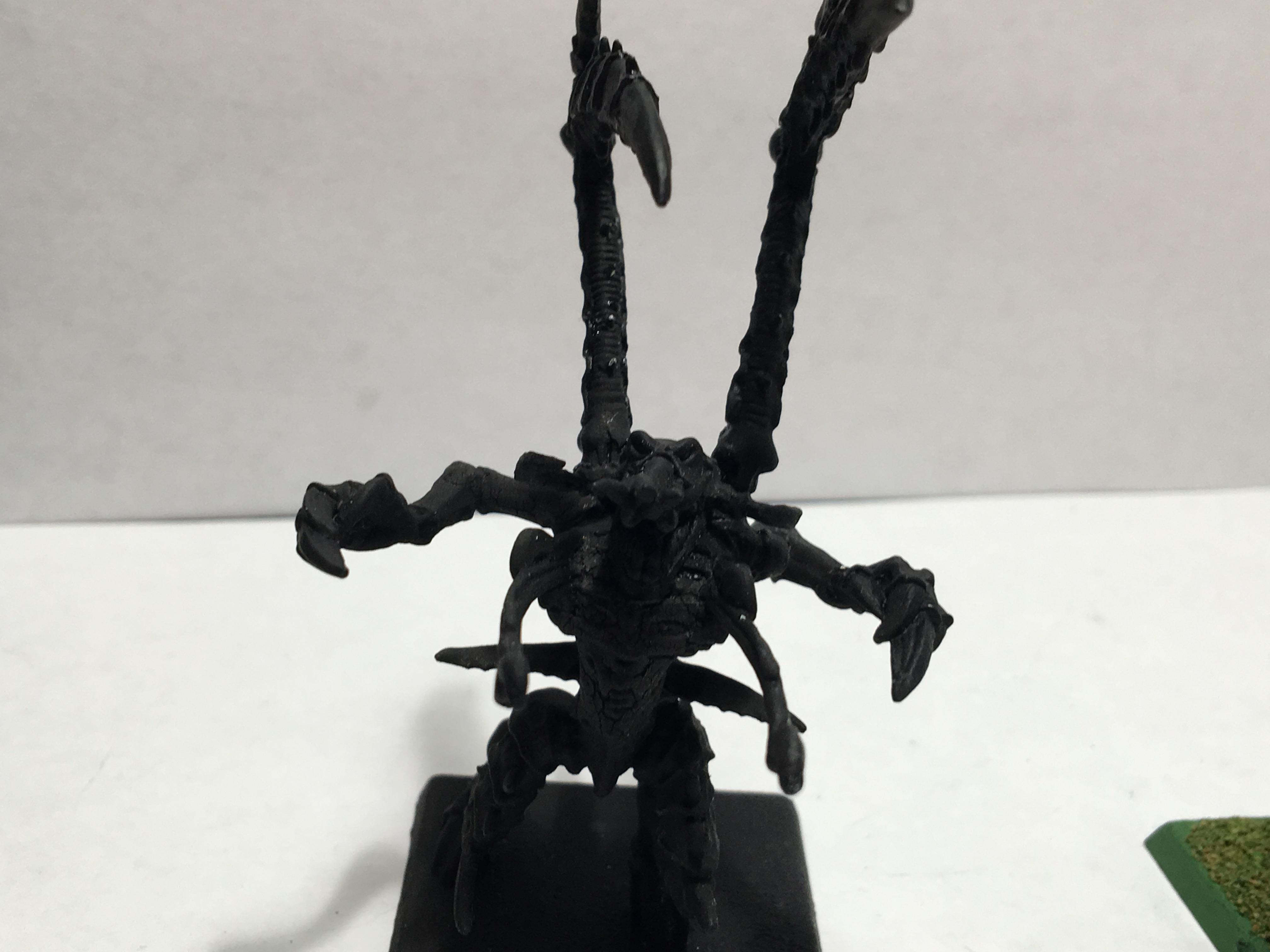 Lictor