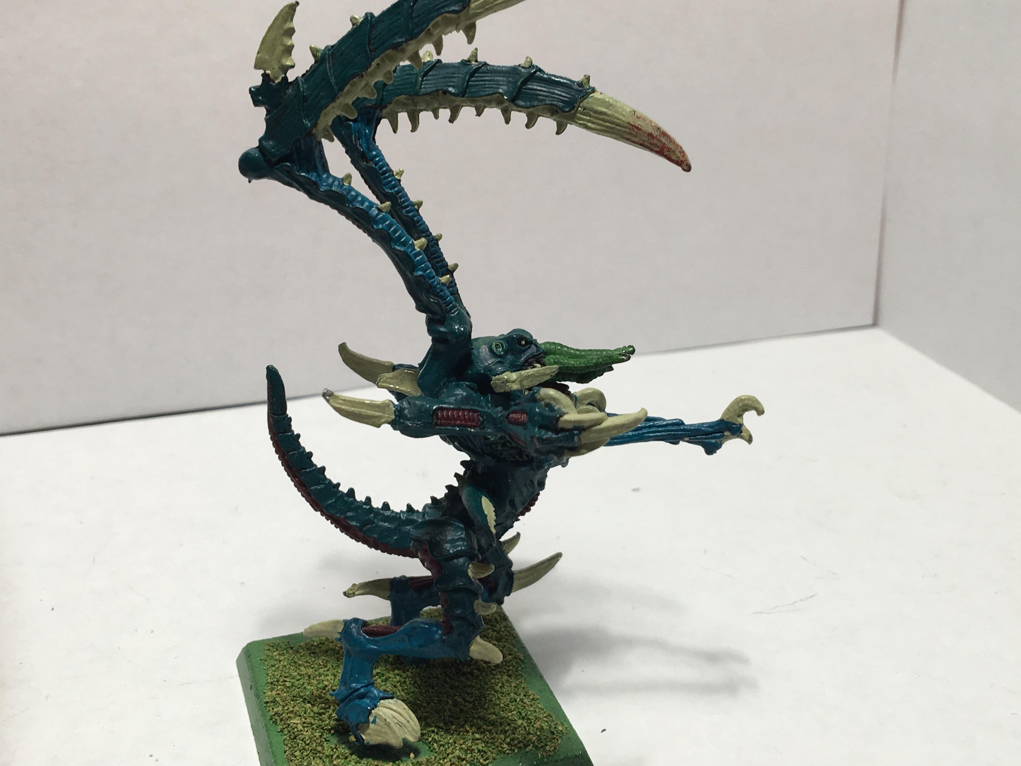 Lictor