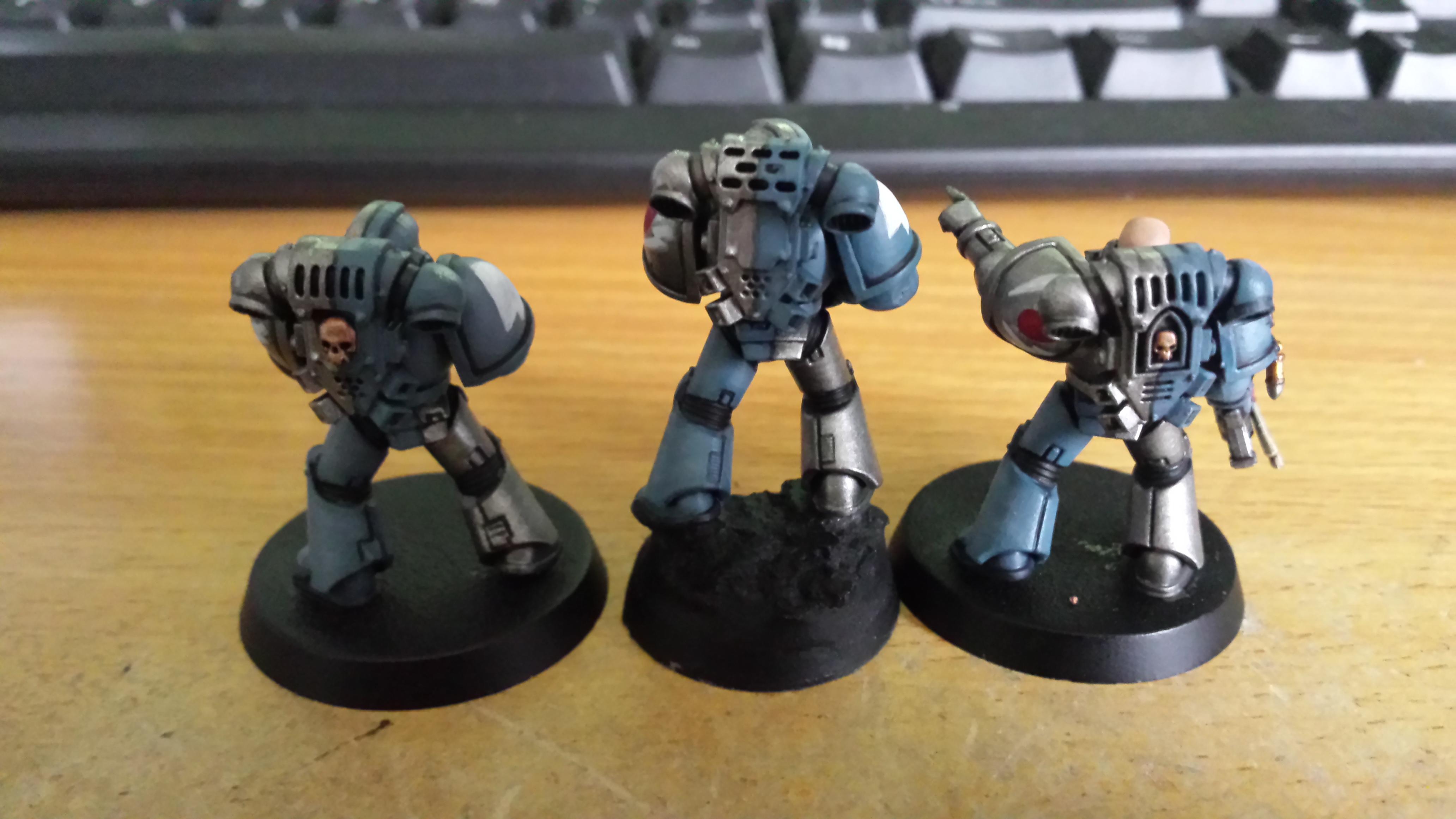 Brotherhood Of The Storm WIP Back