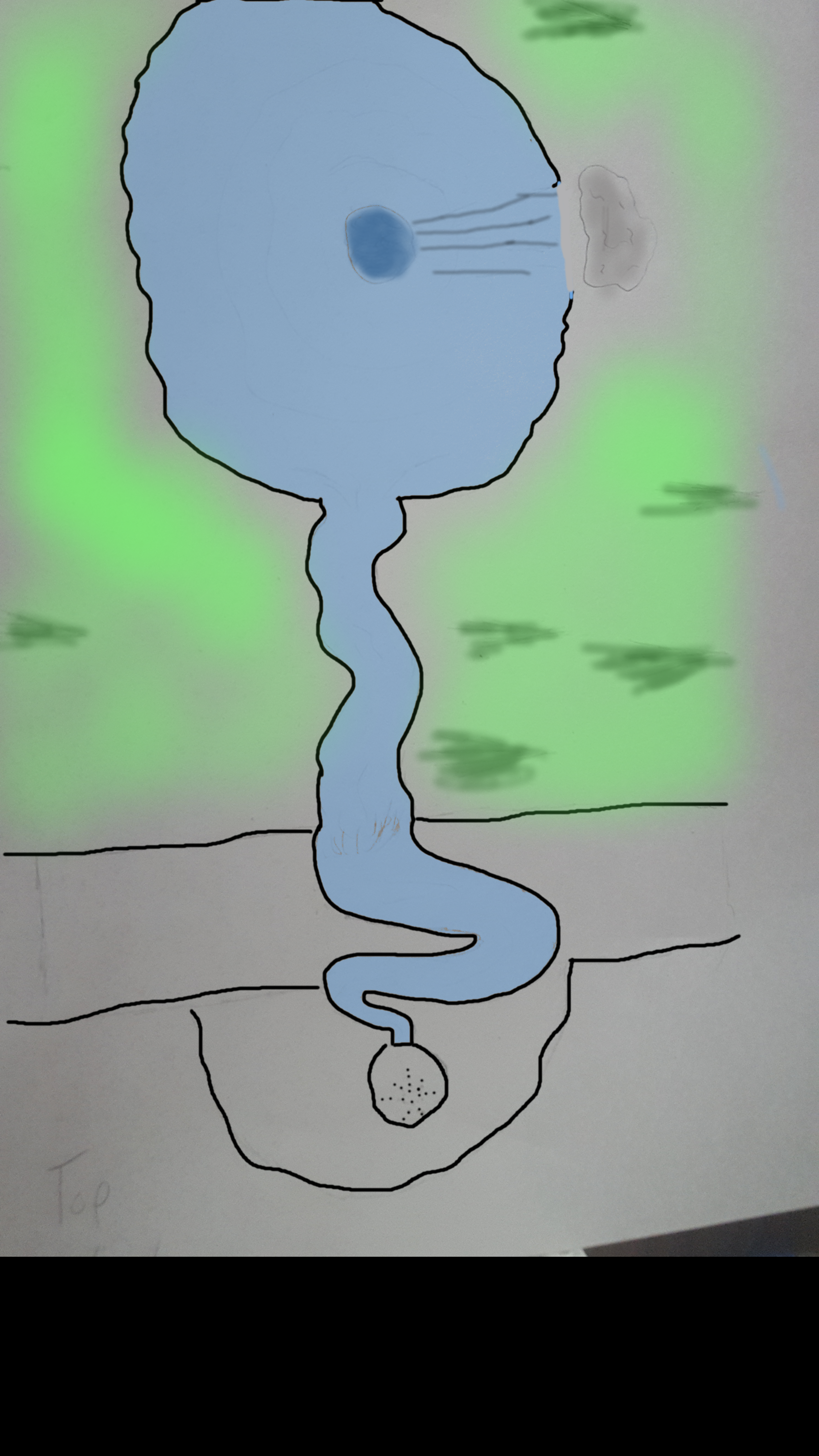 Waterfall Top