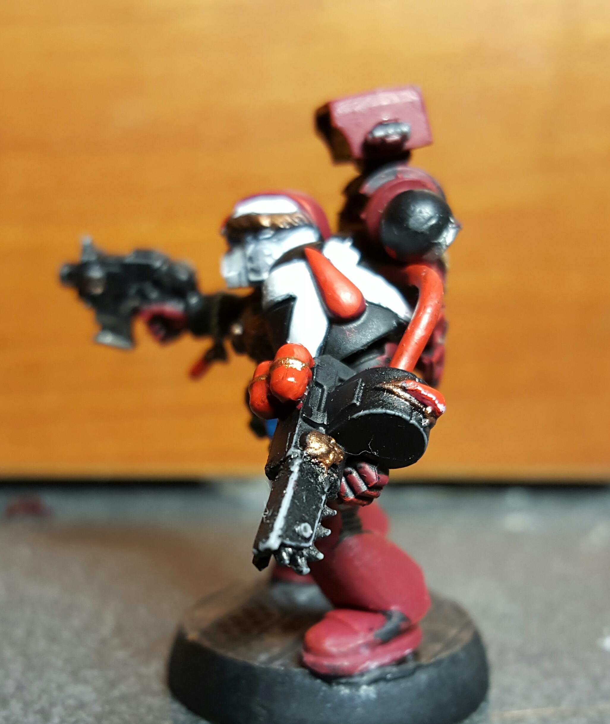 Apothecary, Blood Angels, Grail Wardens, Honor Guard, Space Marines