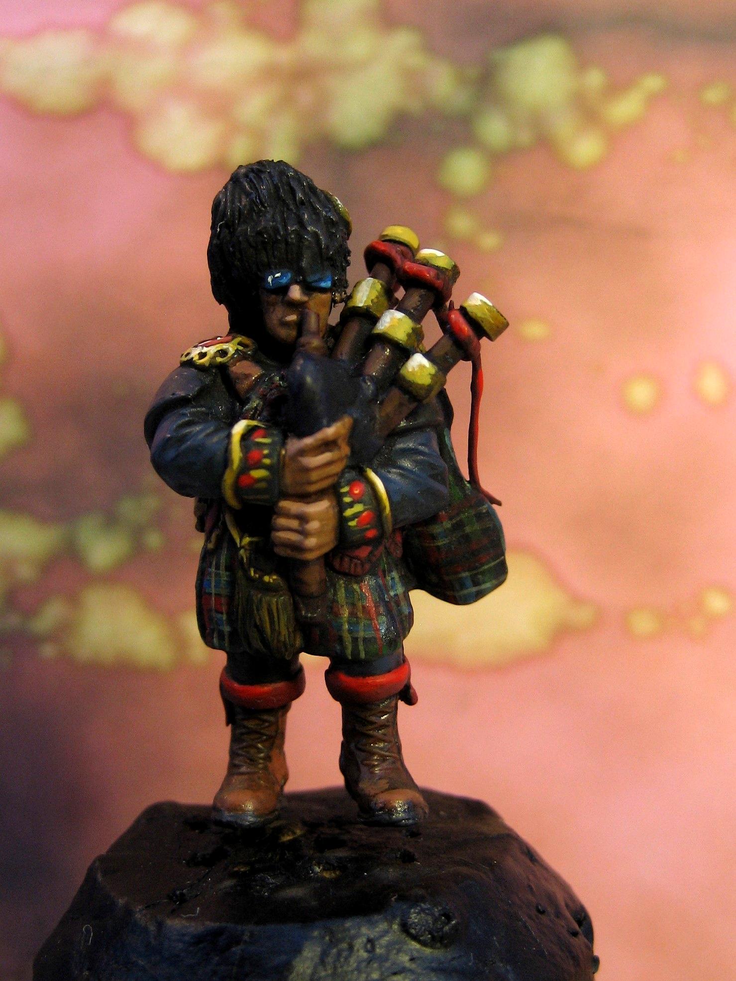 Piper