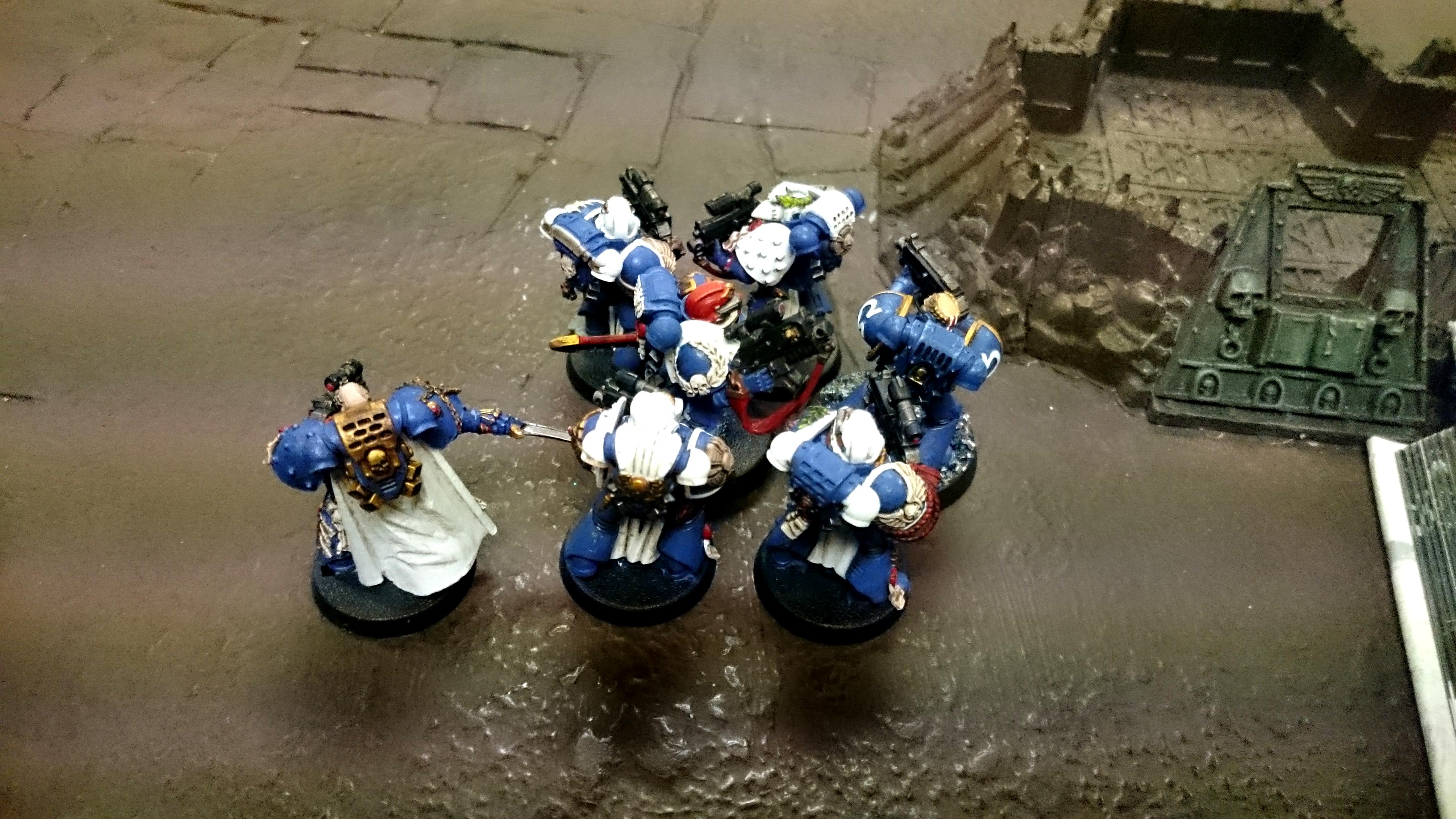 Sternguard and Captain