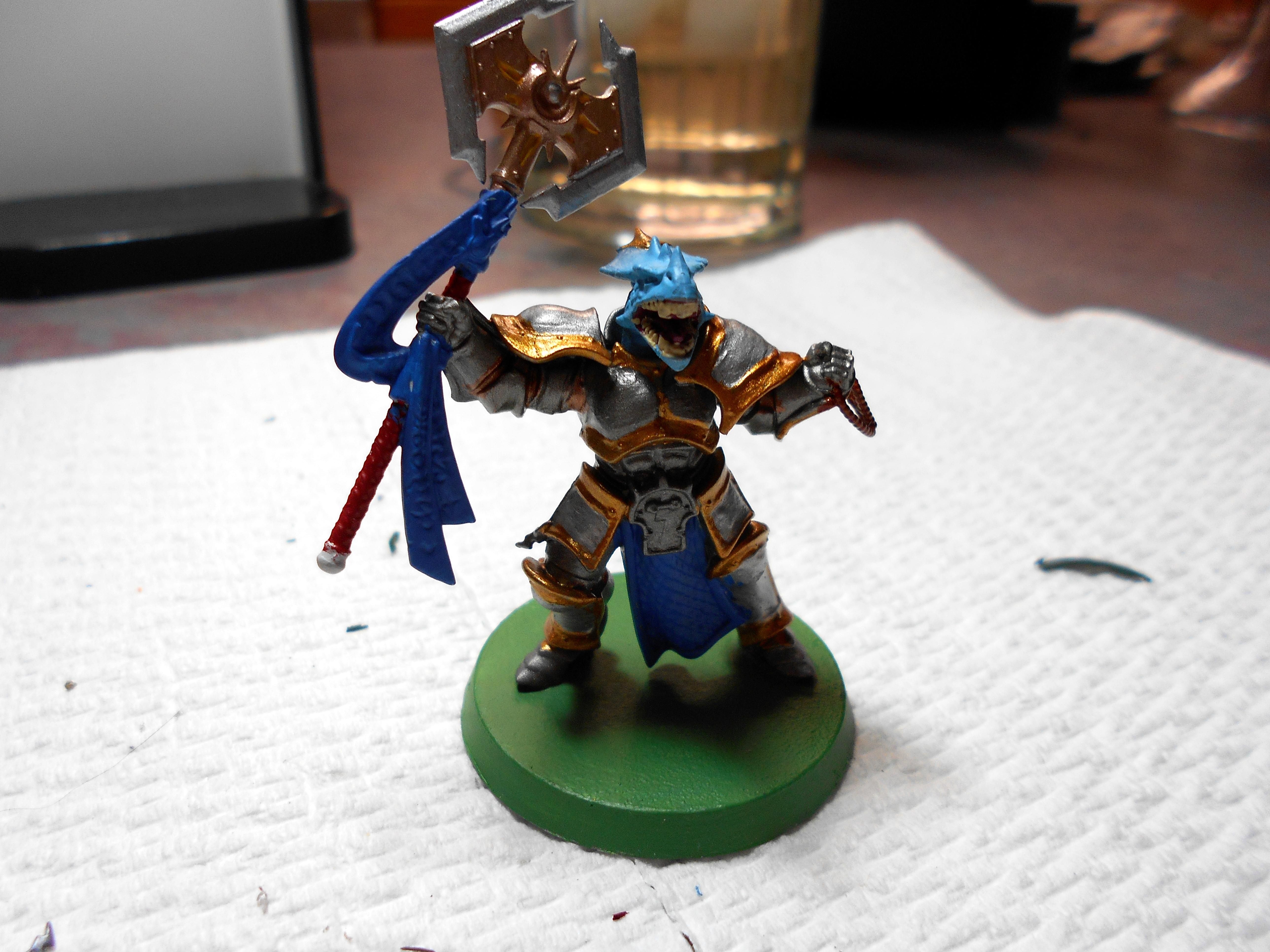 Dragonborn Paladin 30