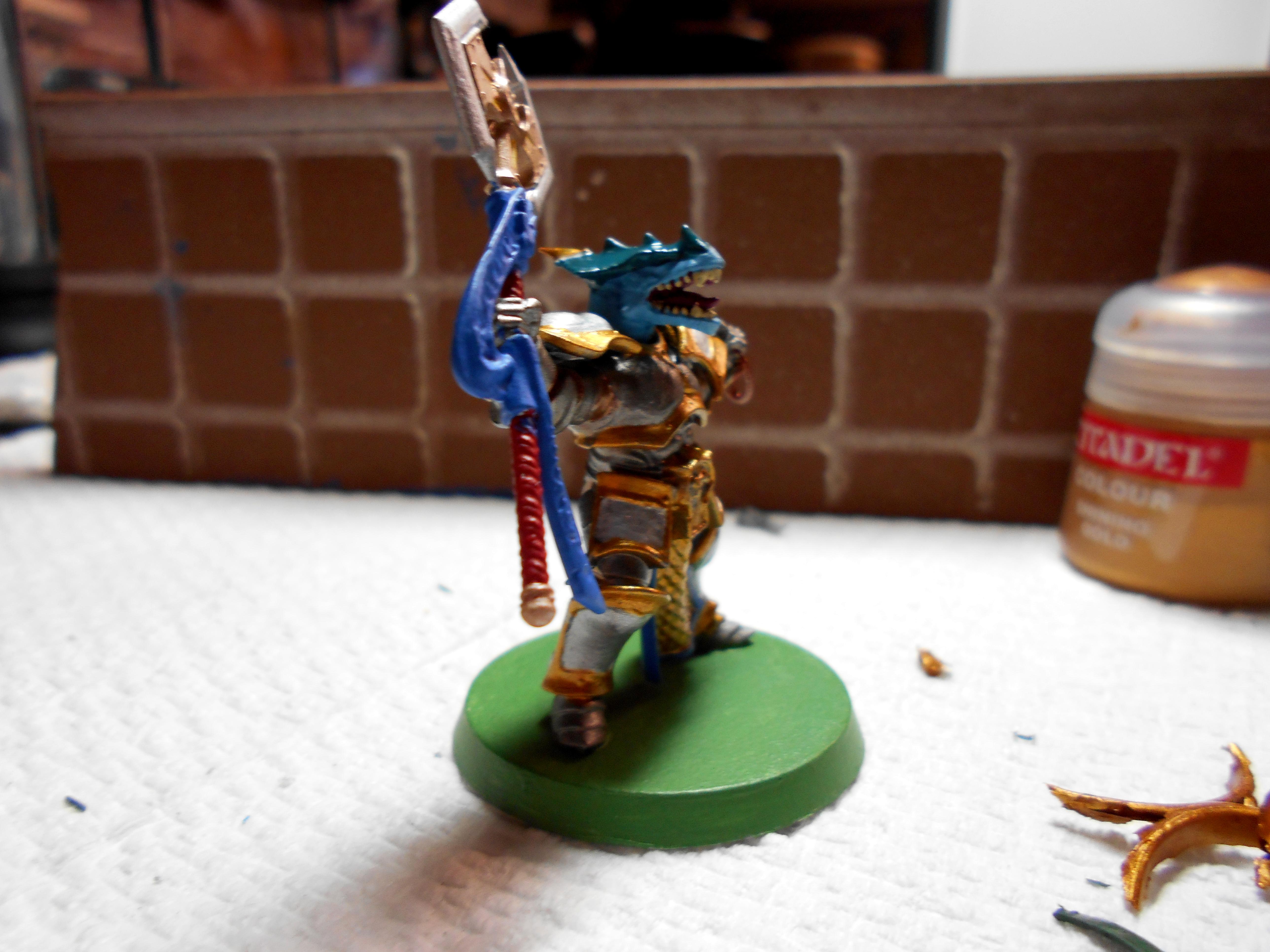 Dragonborn Paladin 35