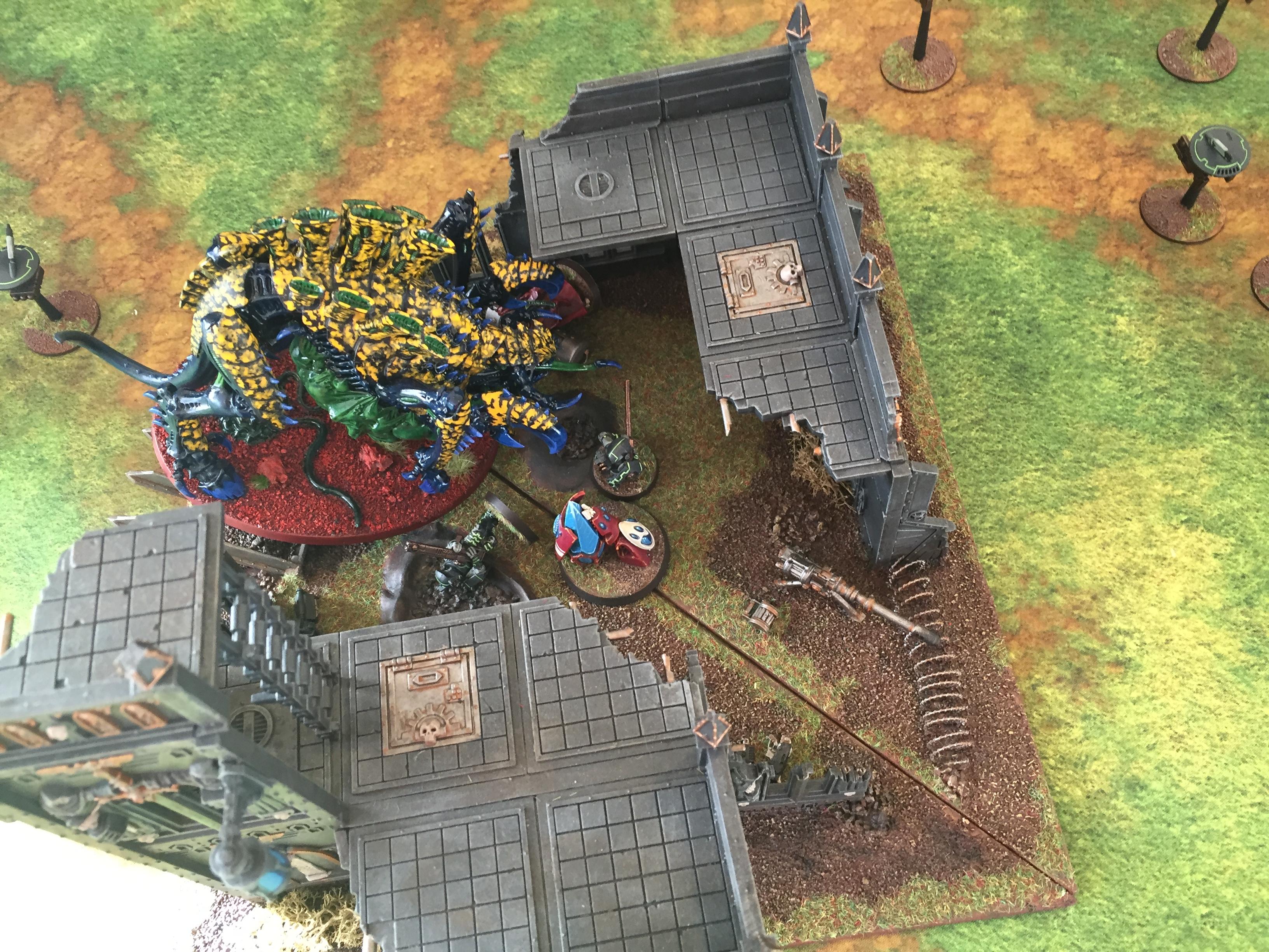 Ngaro, Tau, Tyranids