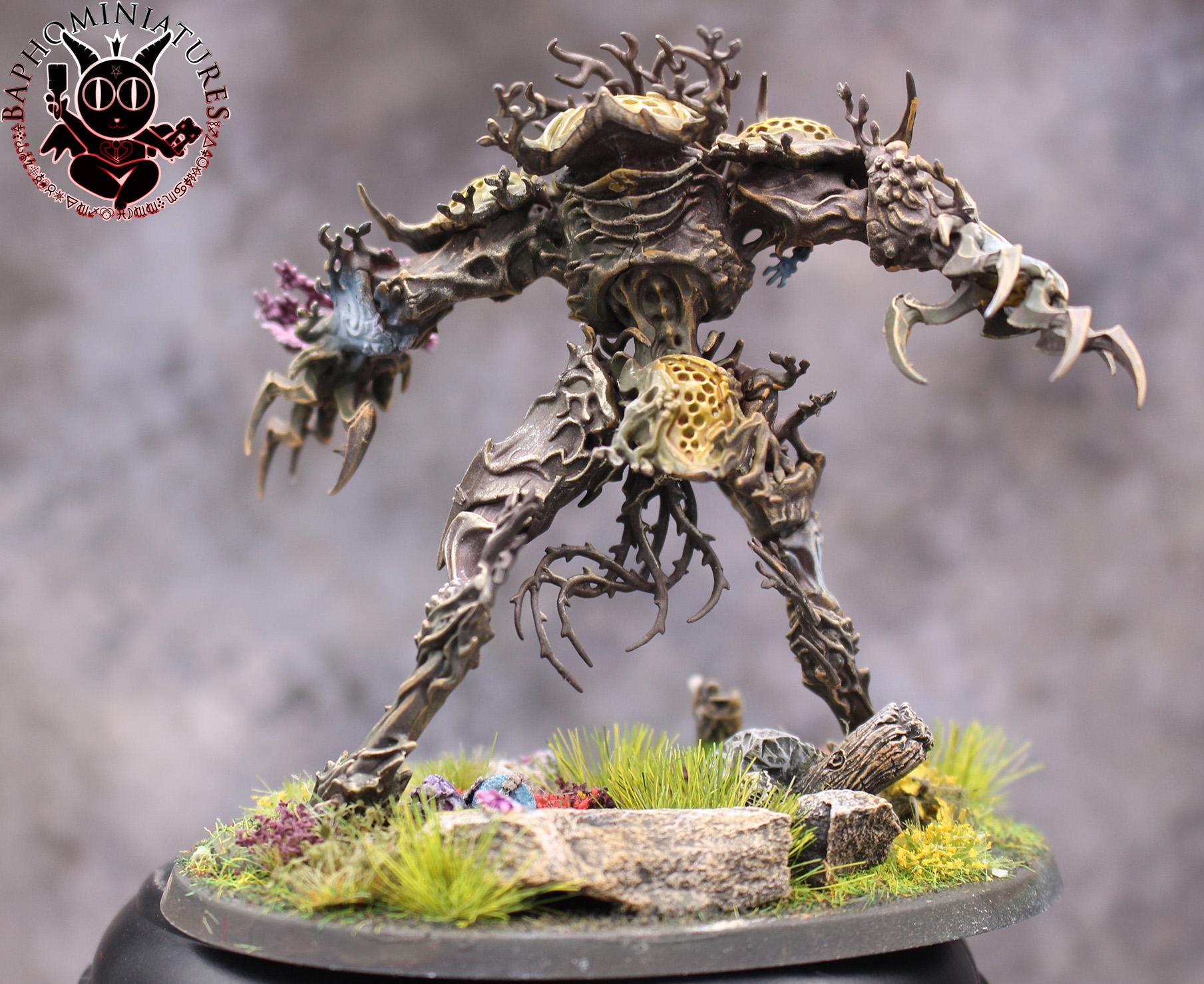 Drycha Hamadreth, Sylvaneth