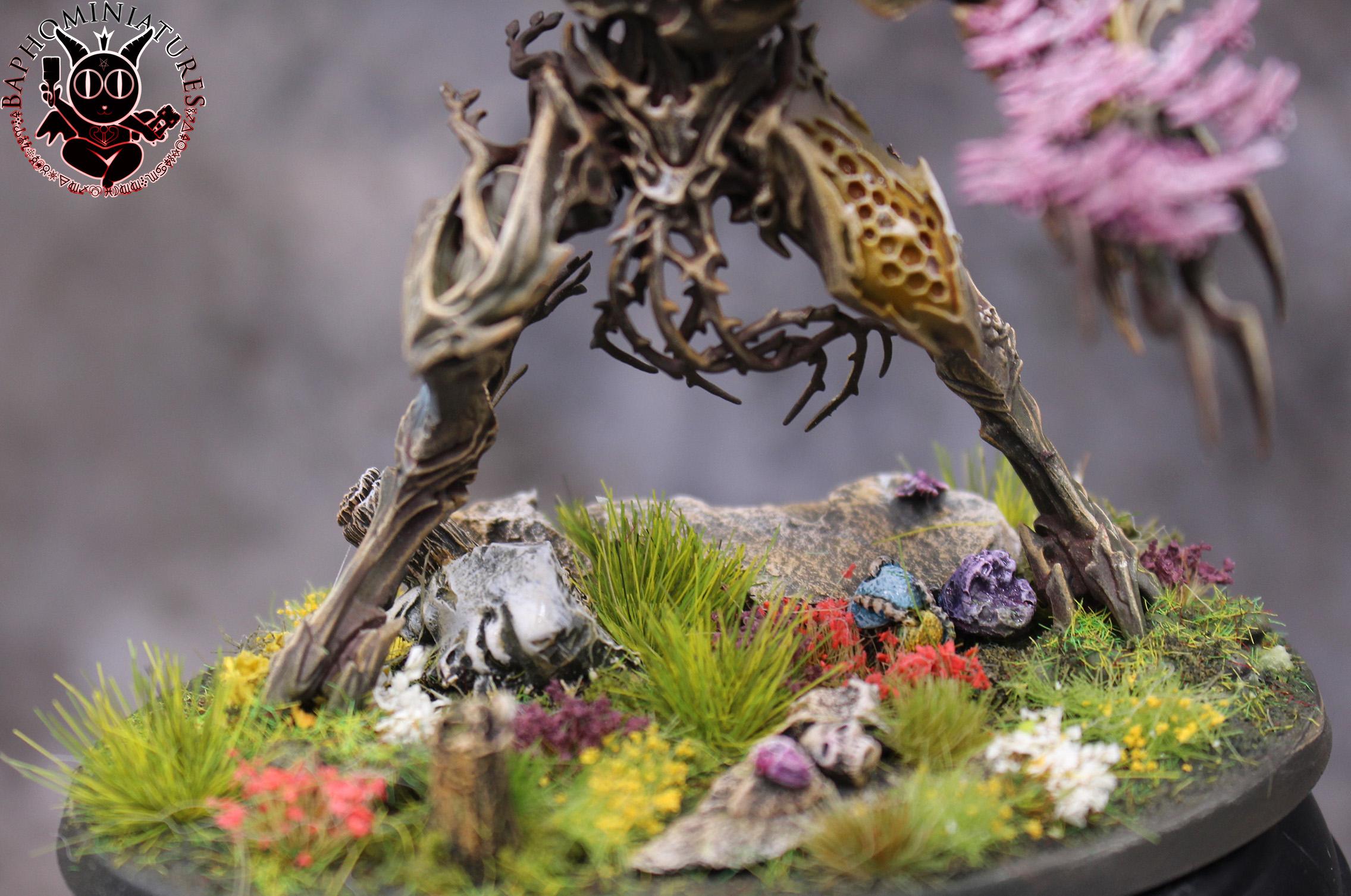 Drycha Hamadreth, Sylvaneth