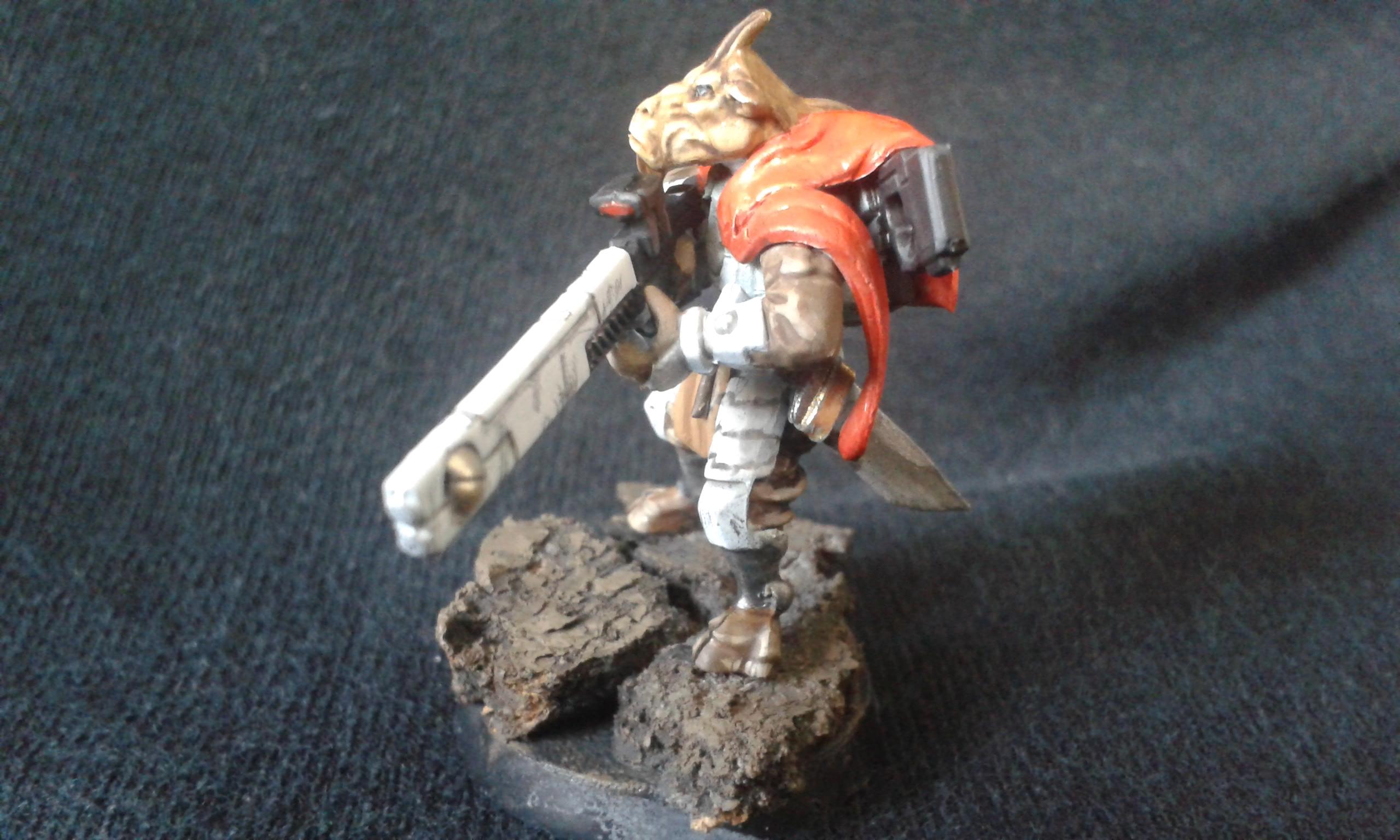 Tau Auxiliary