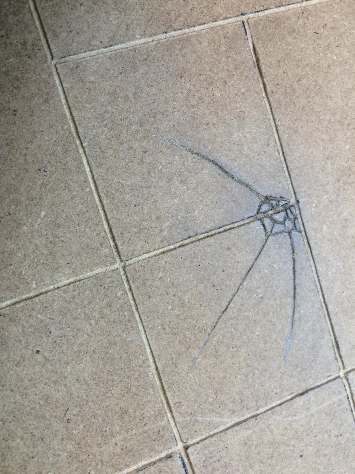 Sculpted an impact on the "concrete"
