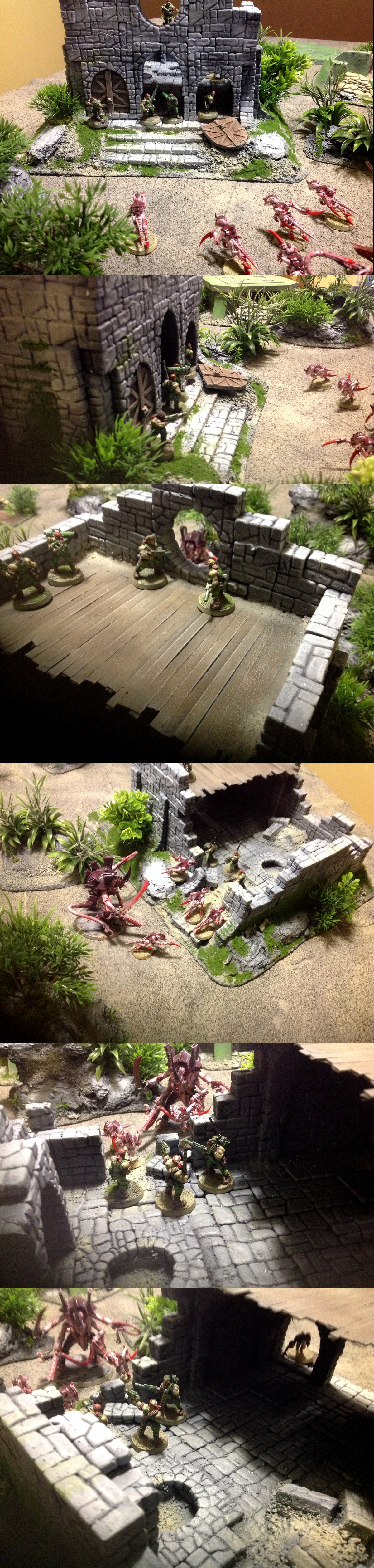 Church, Jungle, Ruin