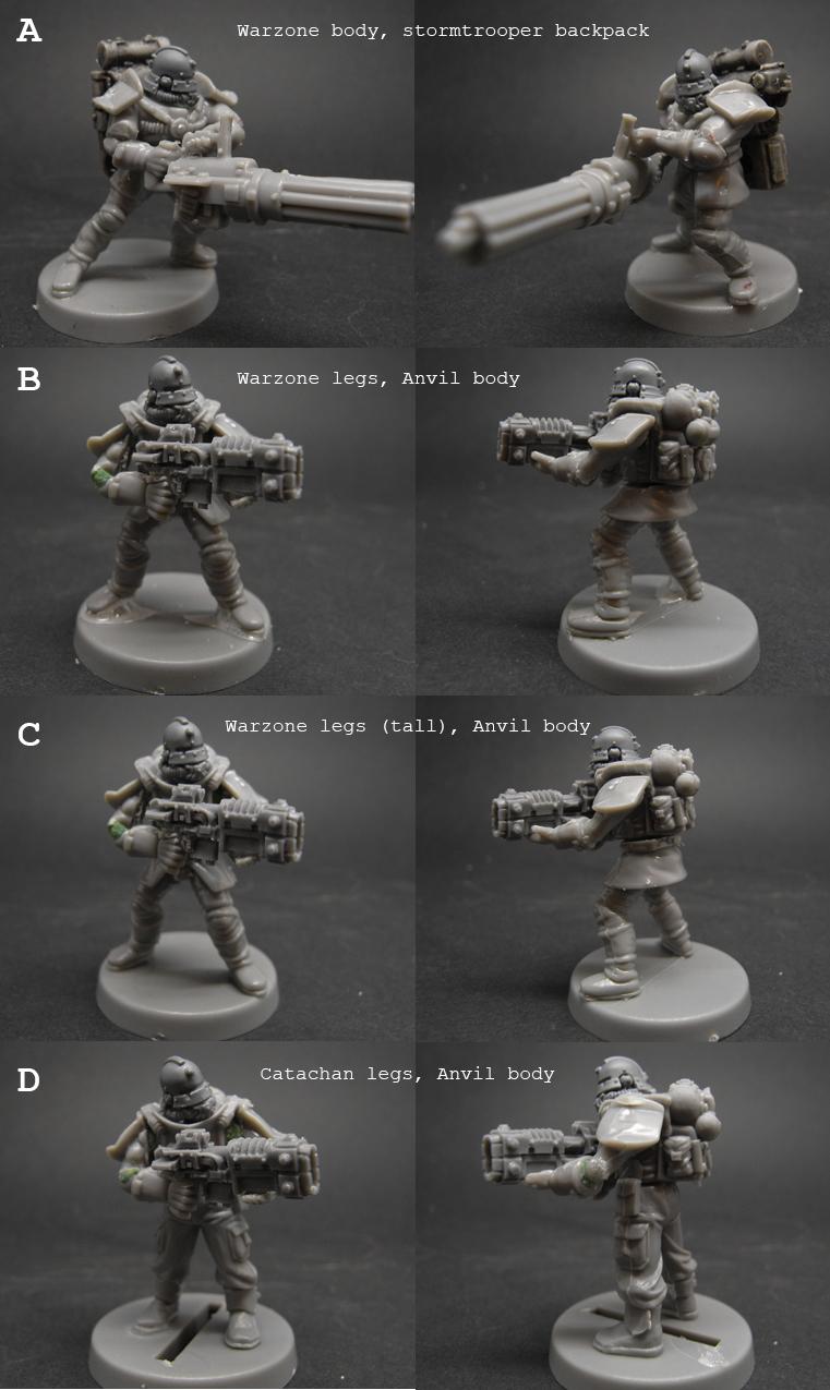 Which auxilia?