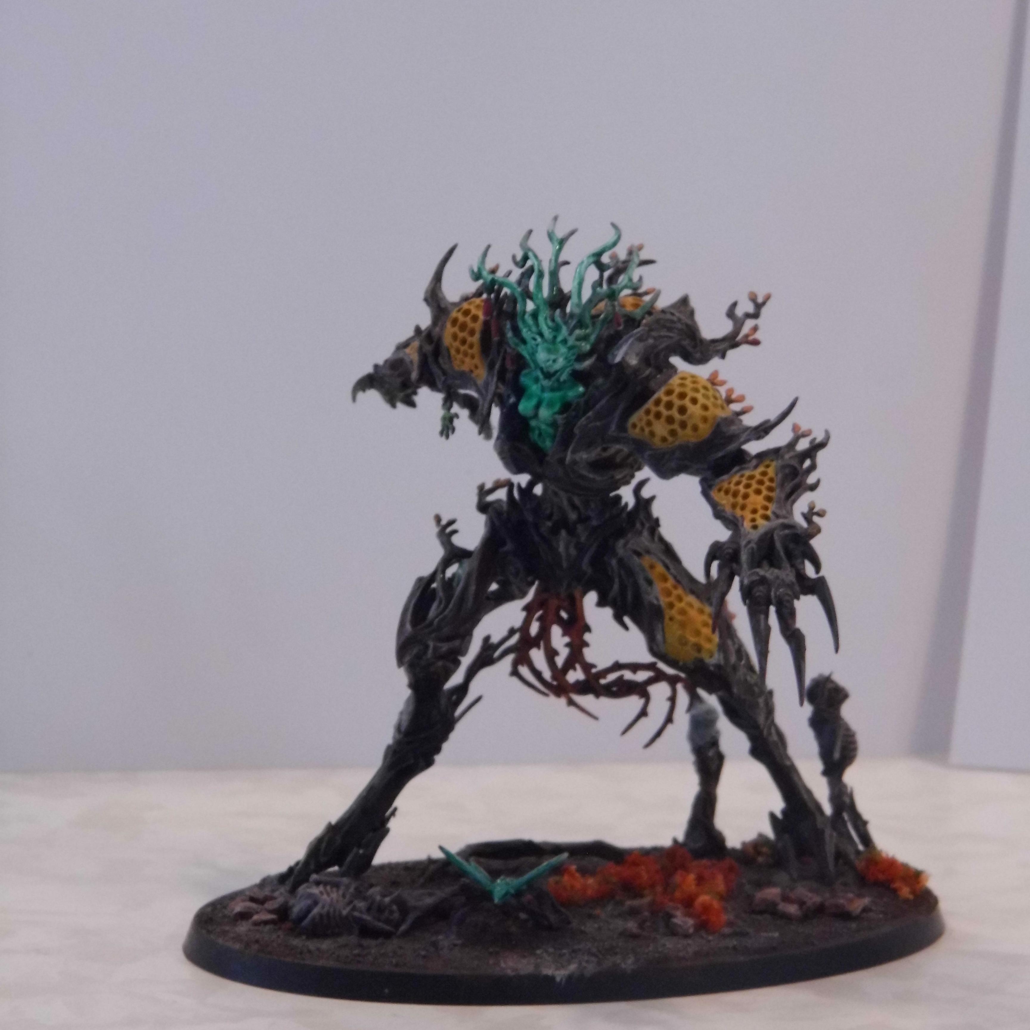 Drycha Hamadreth