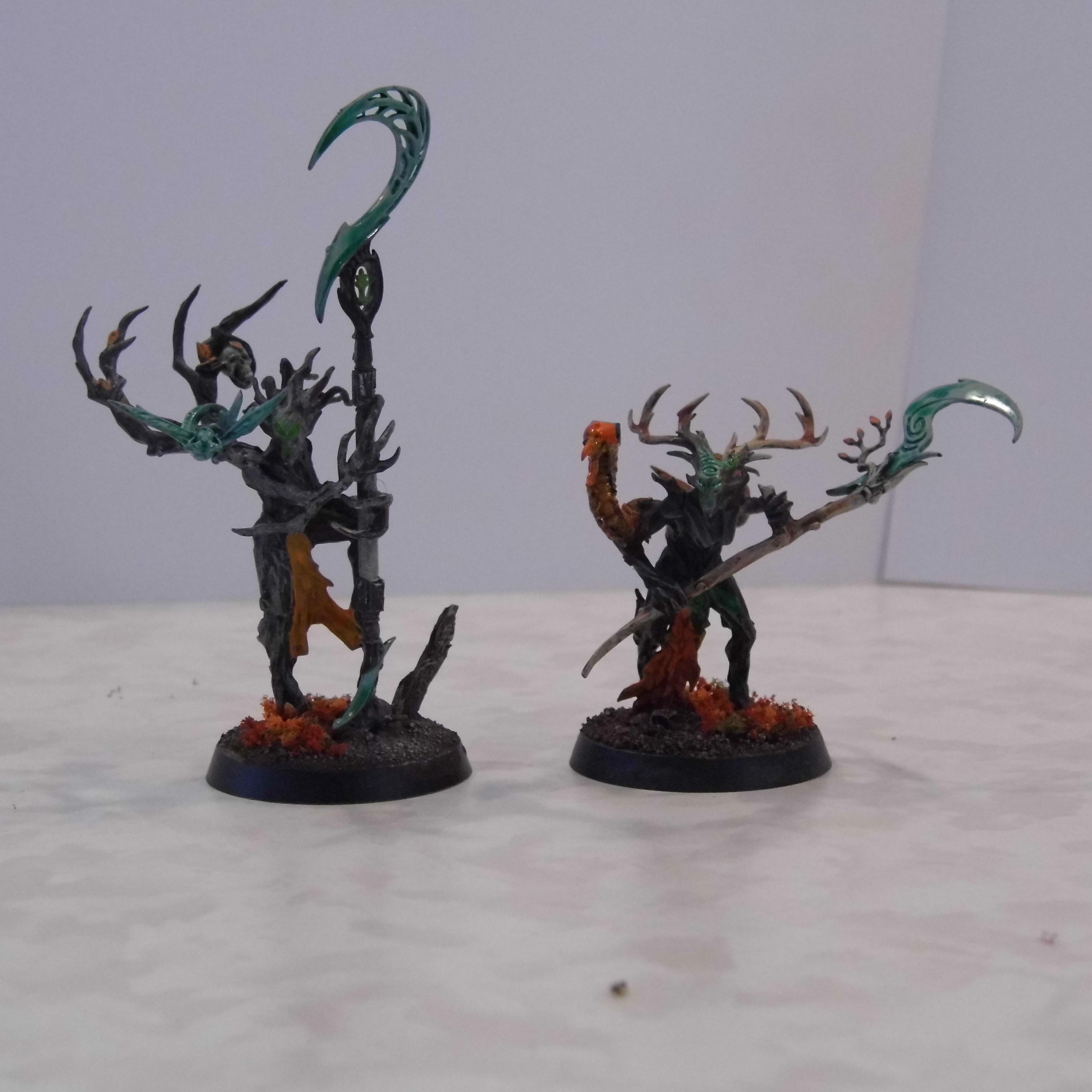 Branchwyches