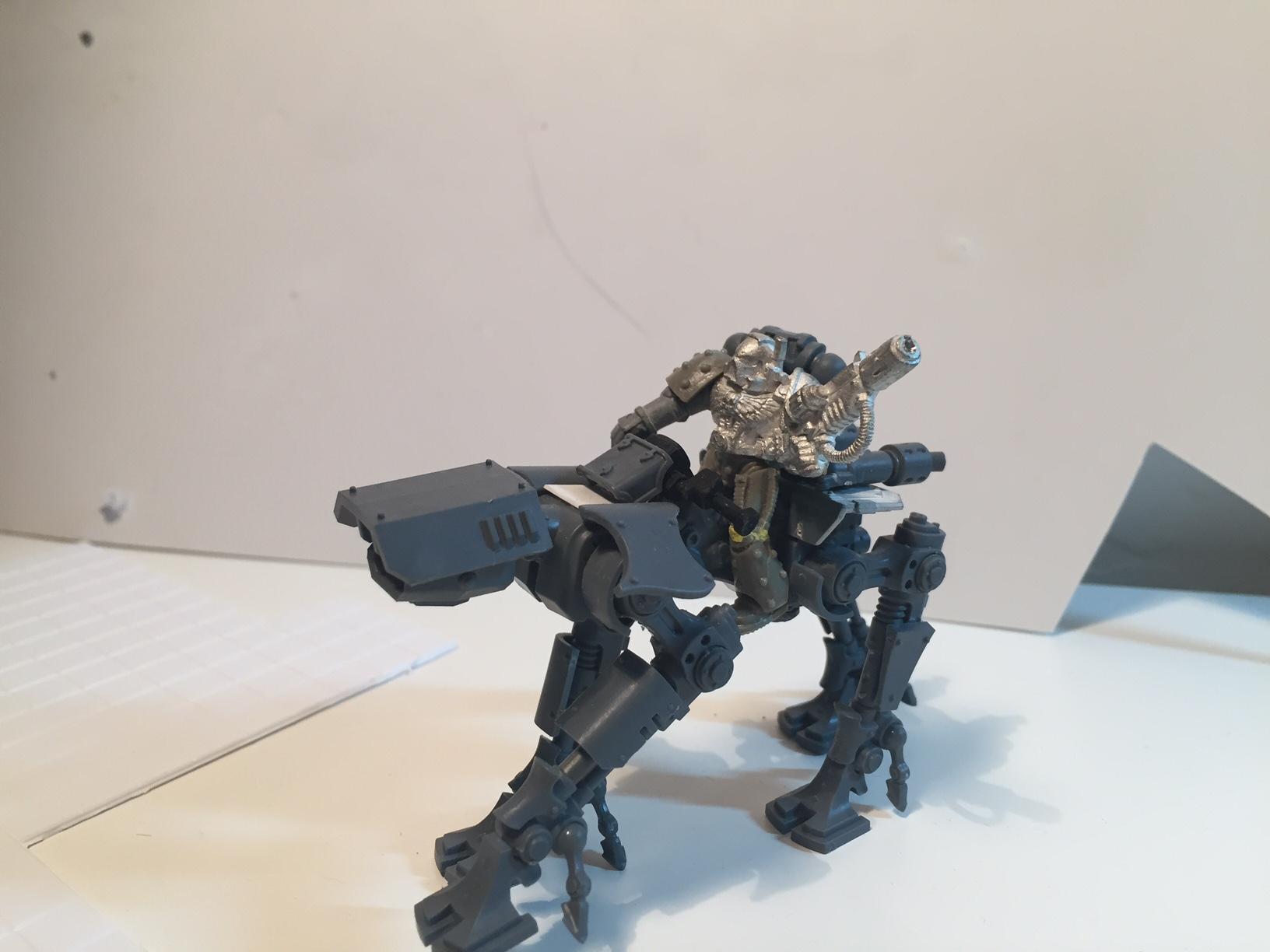 rider with melta