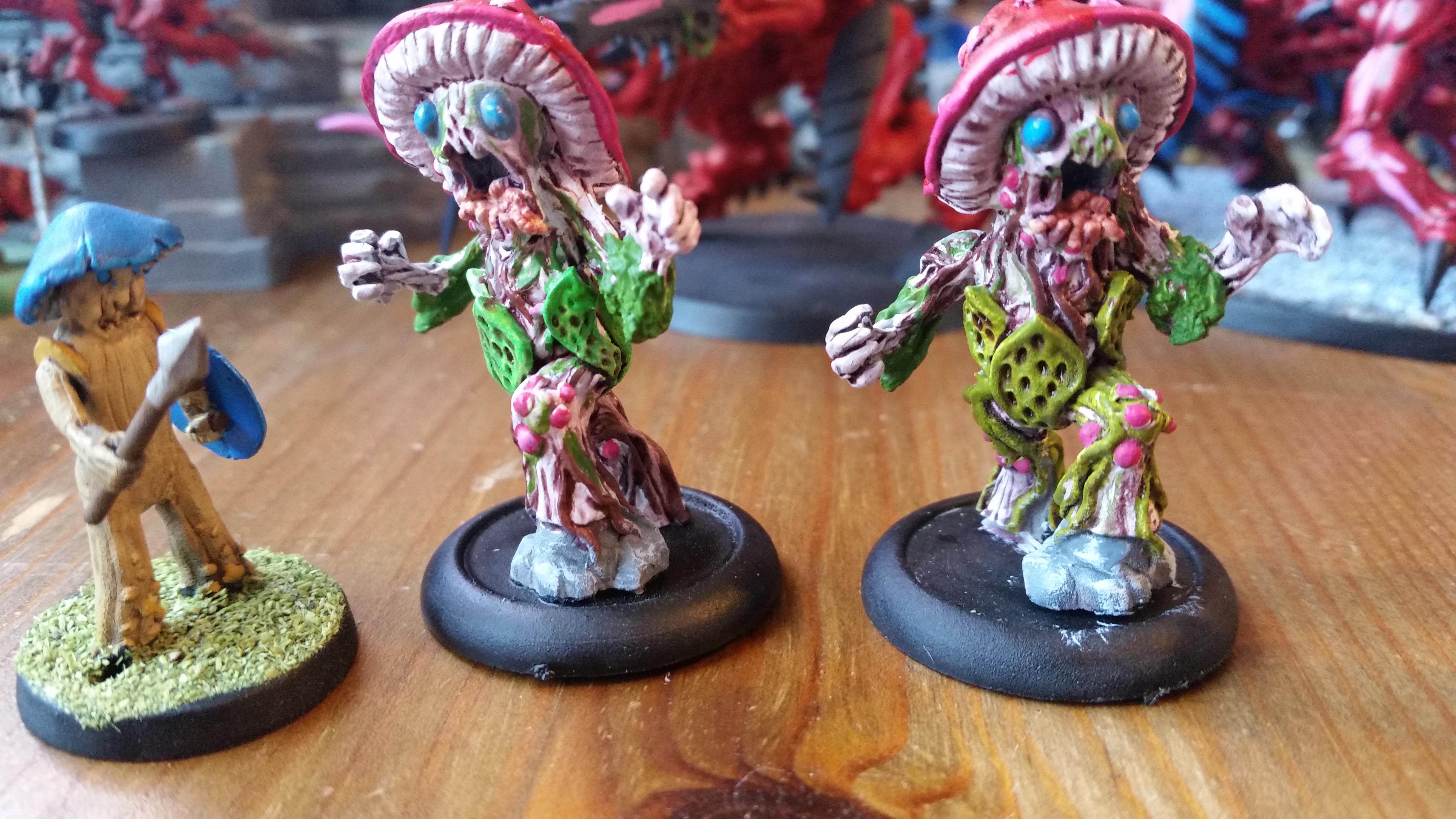 Fighting Fungi, Ganesha Games, Rotting Heart Mushroom Master