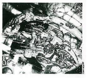 Copyright Games Workshop, Retro Review, White Dwarf