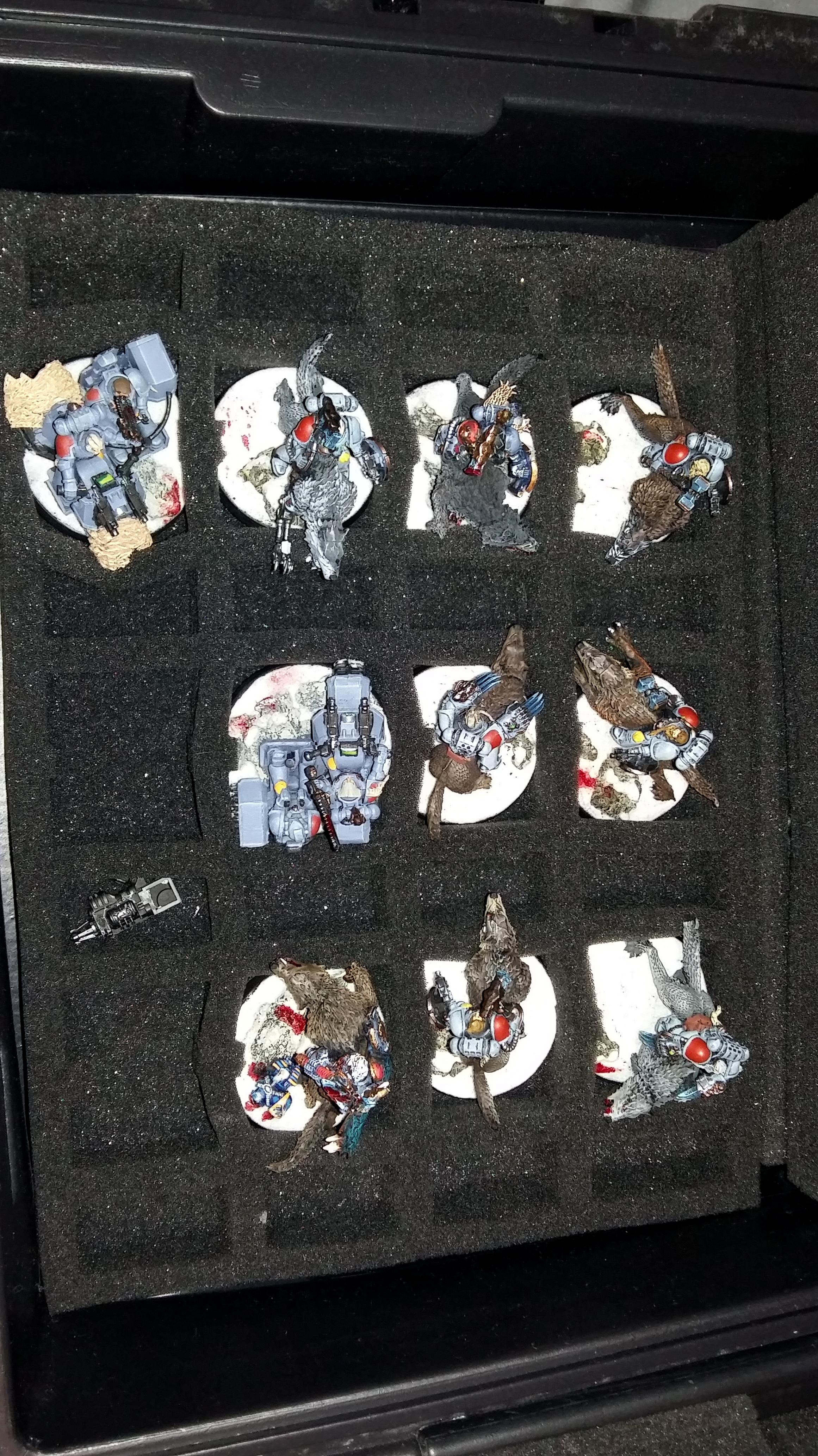 Selling, Space Wolves, Wolves
