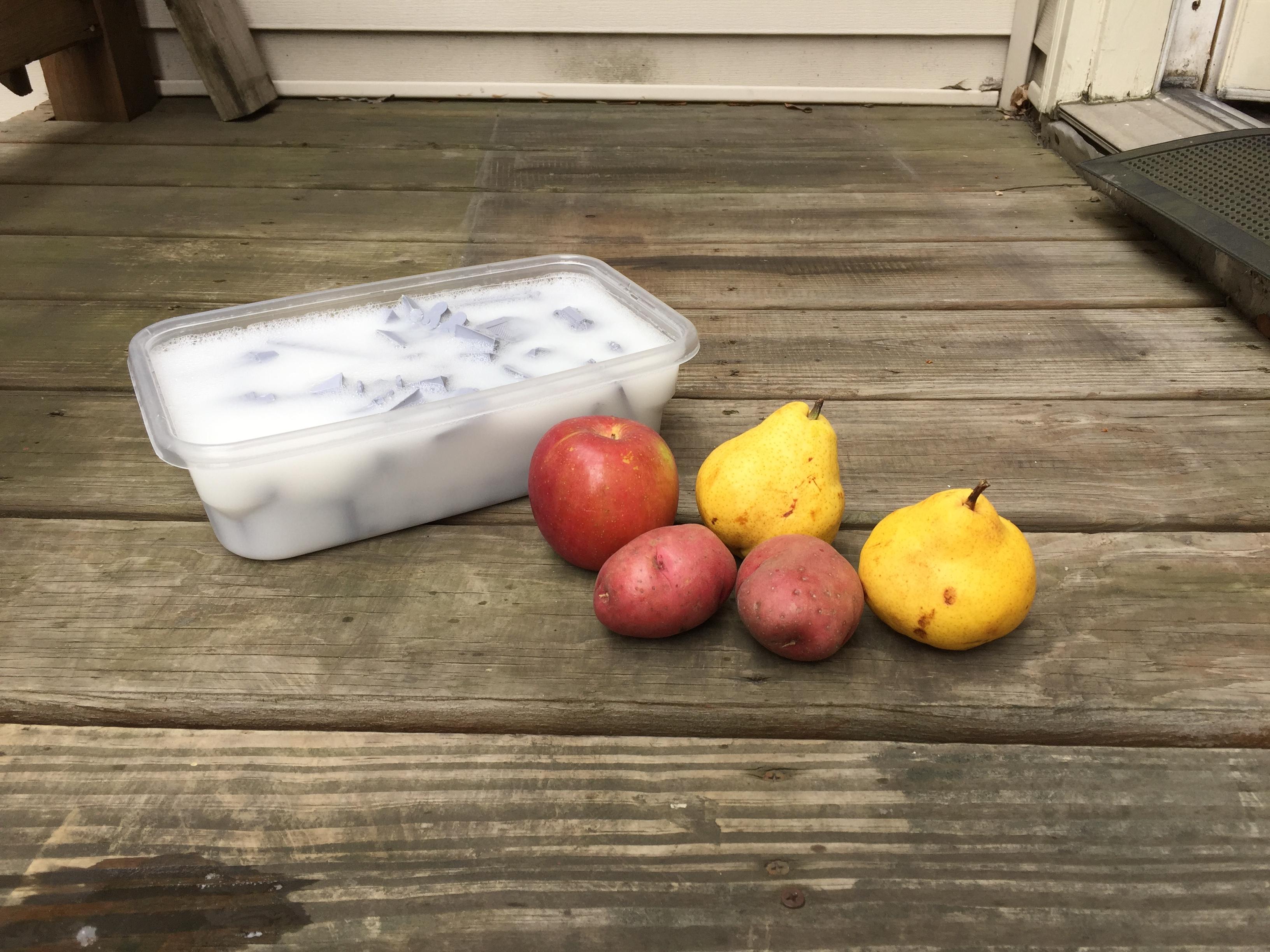 Soft Scrub, Still Life: Softscrub, with Fruit