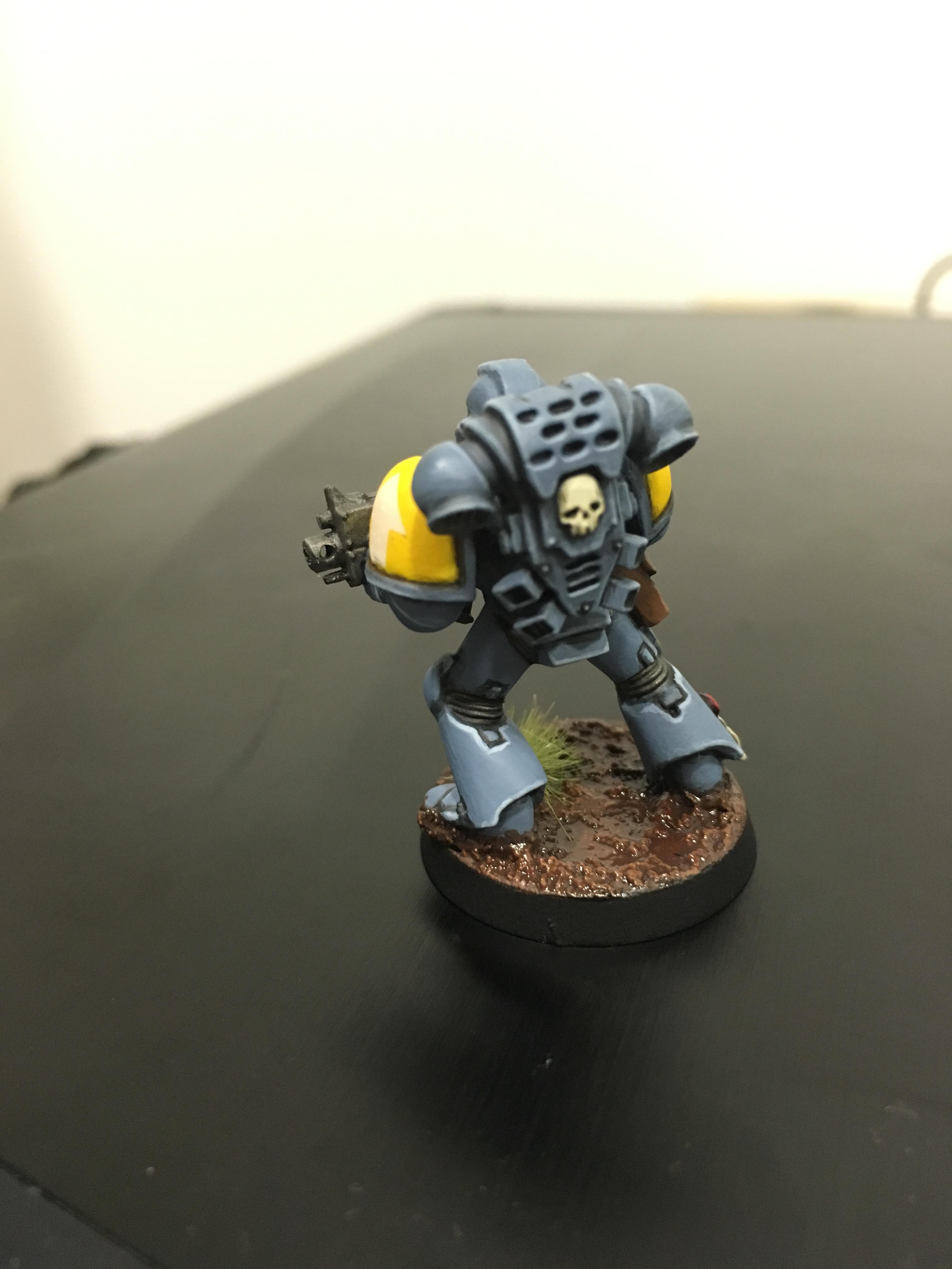 Space Wolf Back
