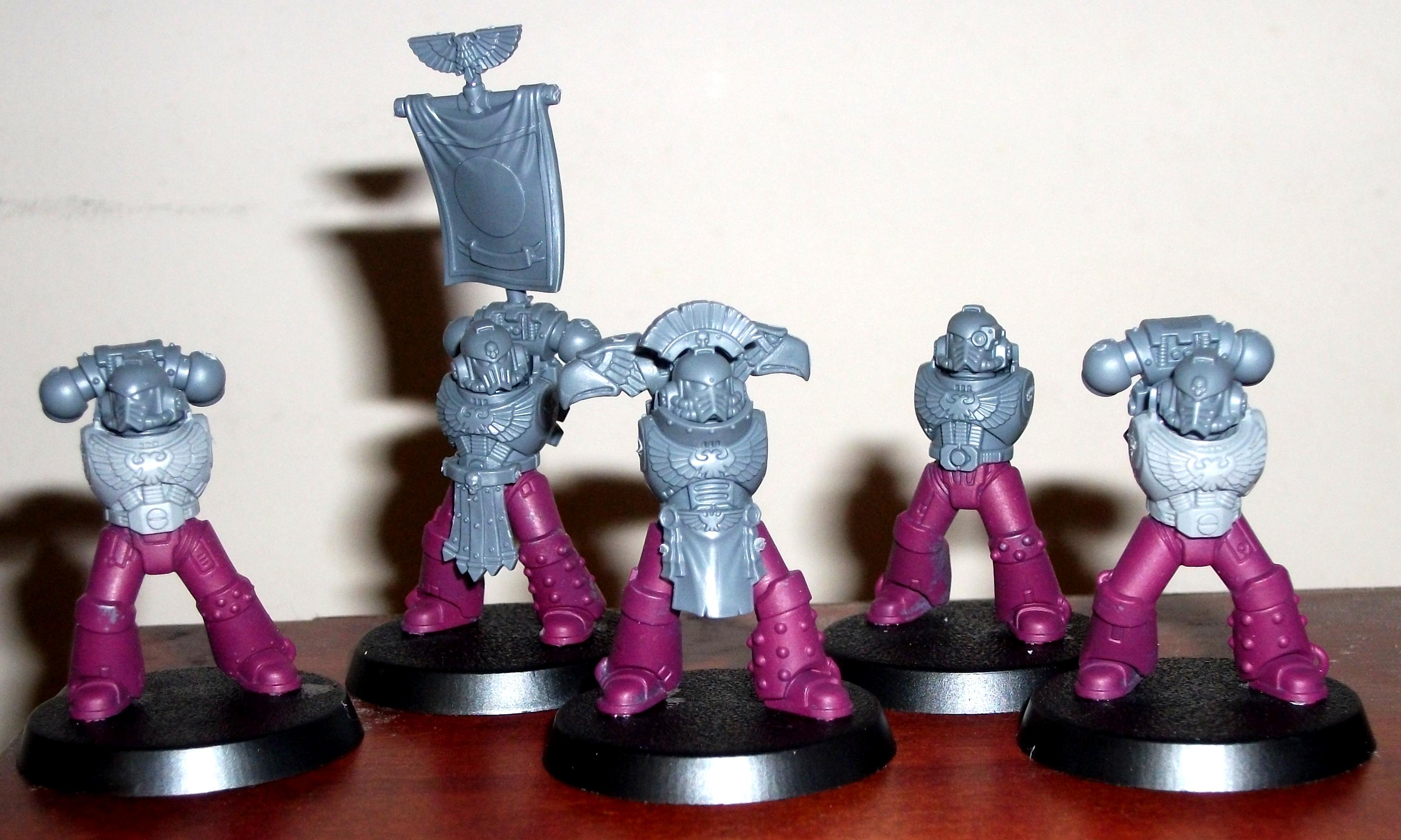 Emperor's Children Veteran Tactical Squad