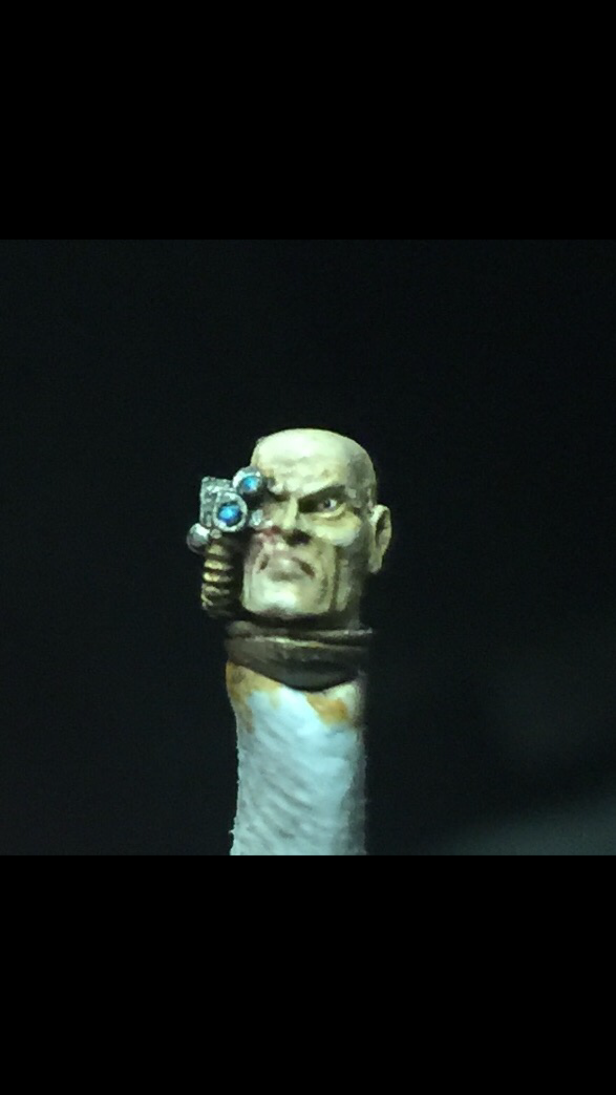 Casteman Orth WIP (Head)