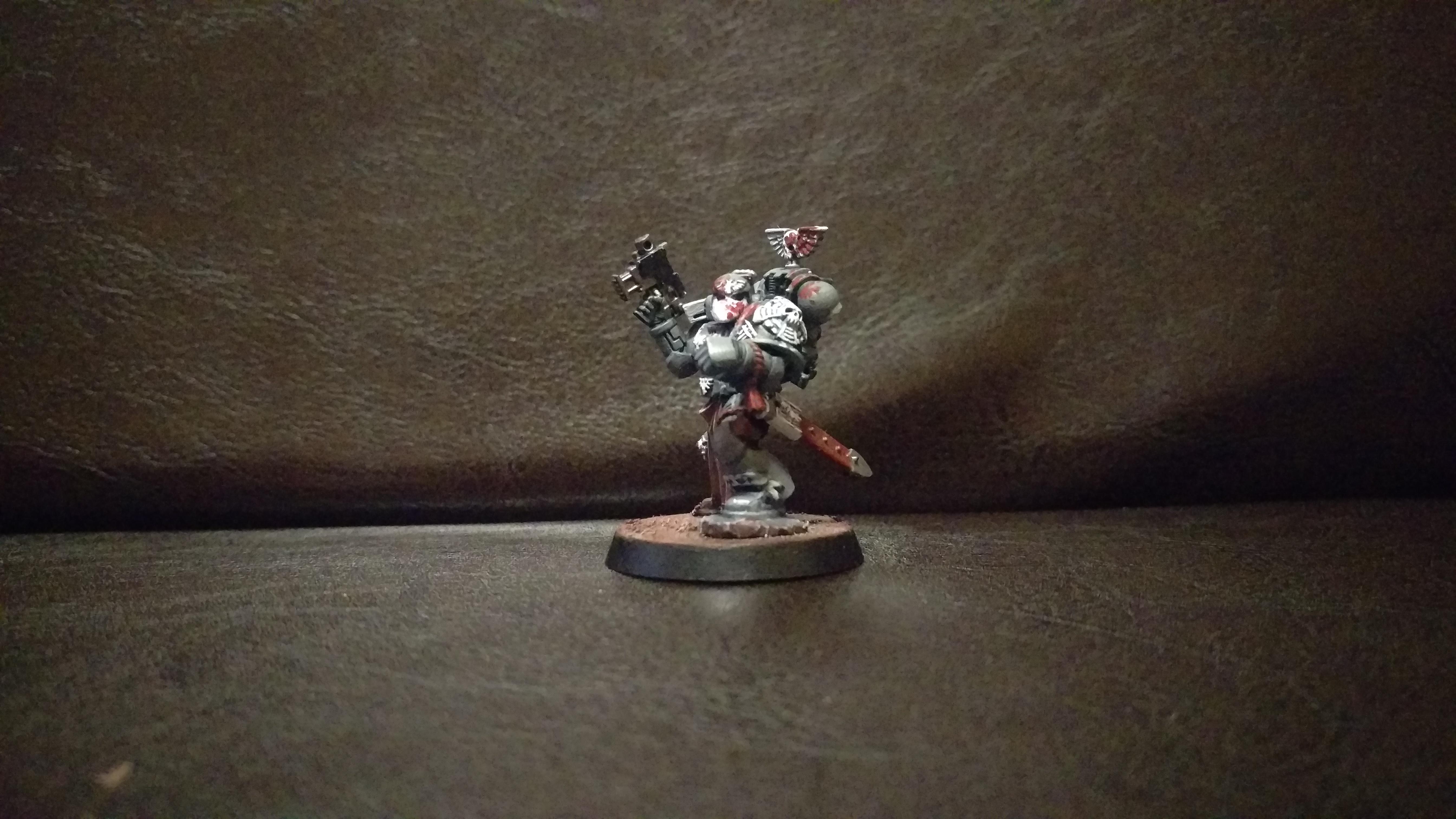 Carcharodons, Space Marines, Space Sharks