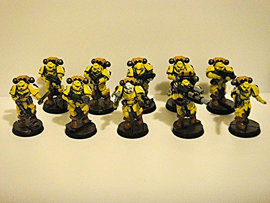 Imperial Fists, Tactical Squad