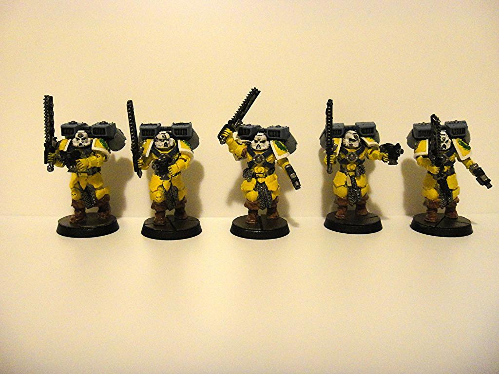 Imperial Fists, Vanguard Veterans