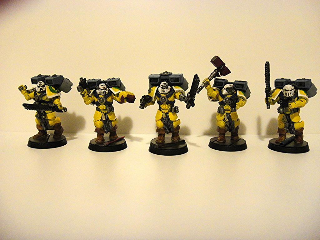 Imperial Fists, Vanguard Veterans