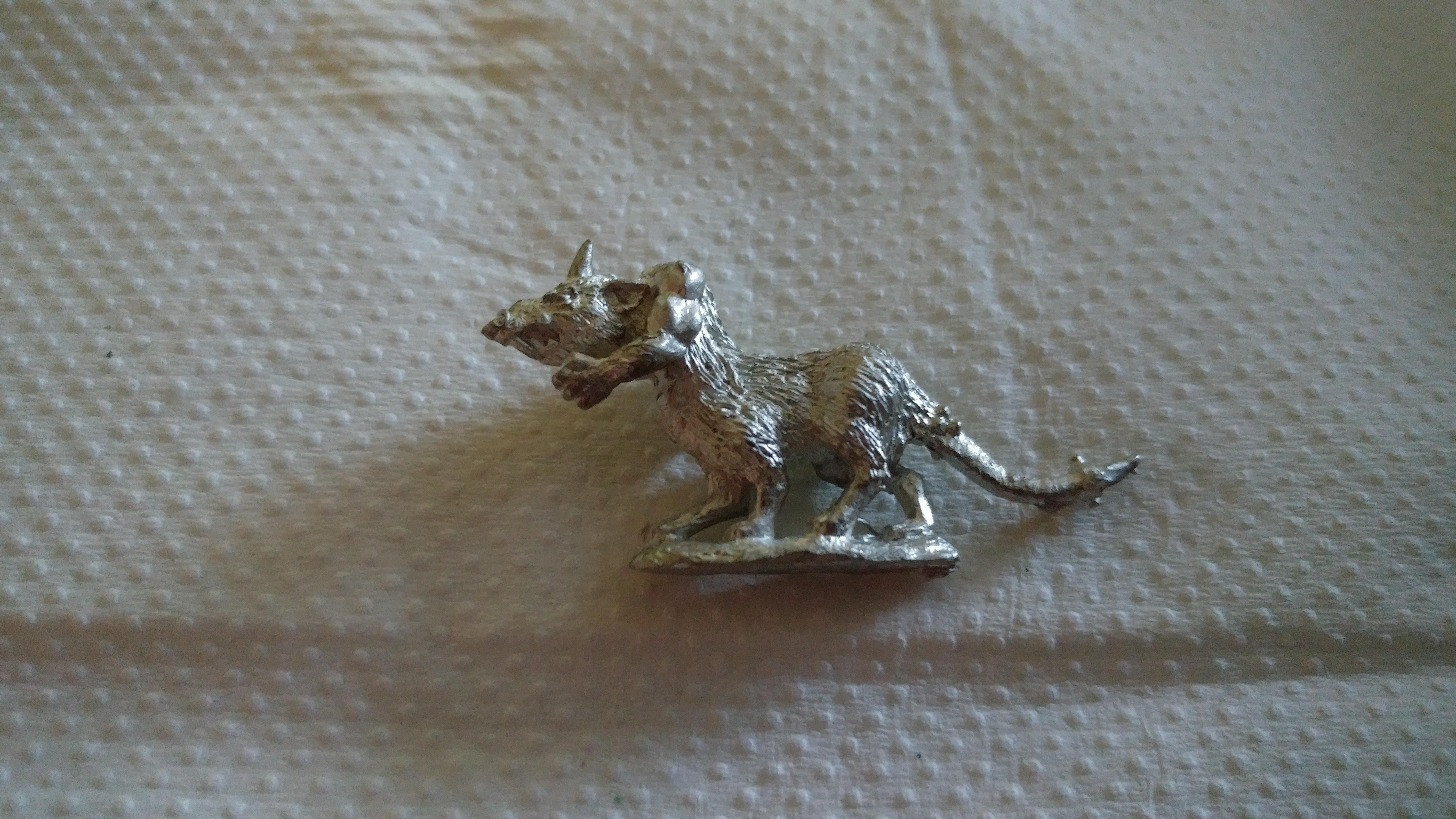 Unknown rat