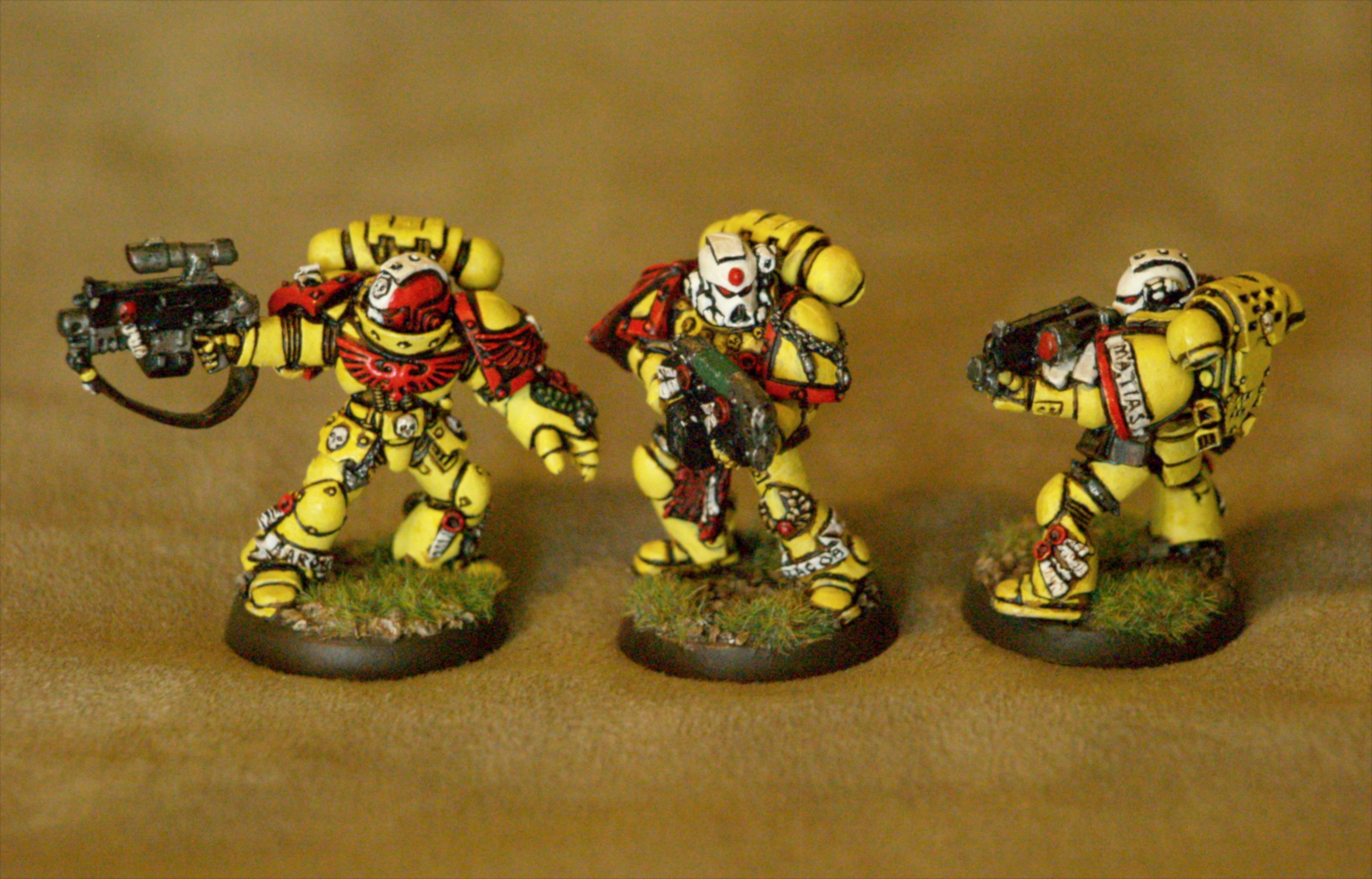 Elites, Imperial Fists, Space Marines, Sternguard Veterans