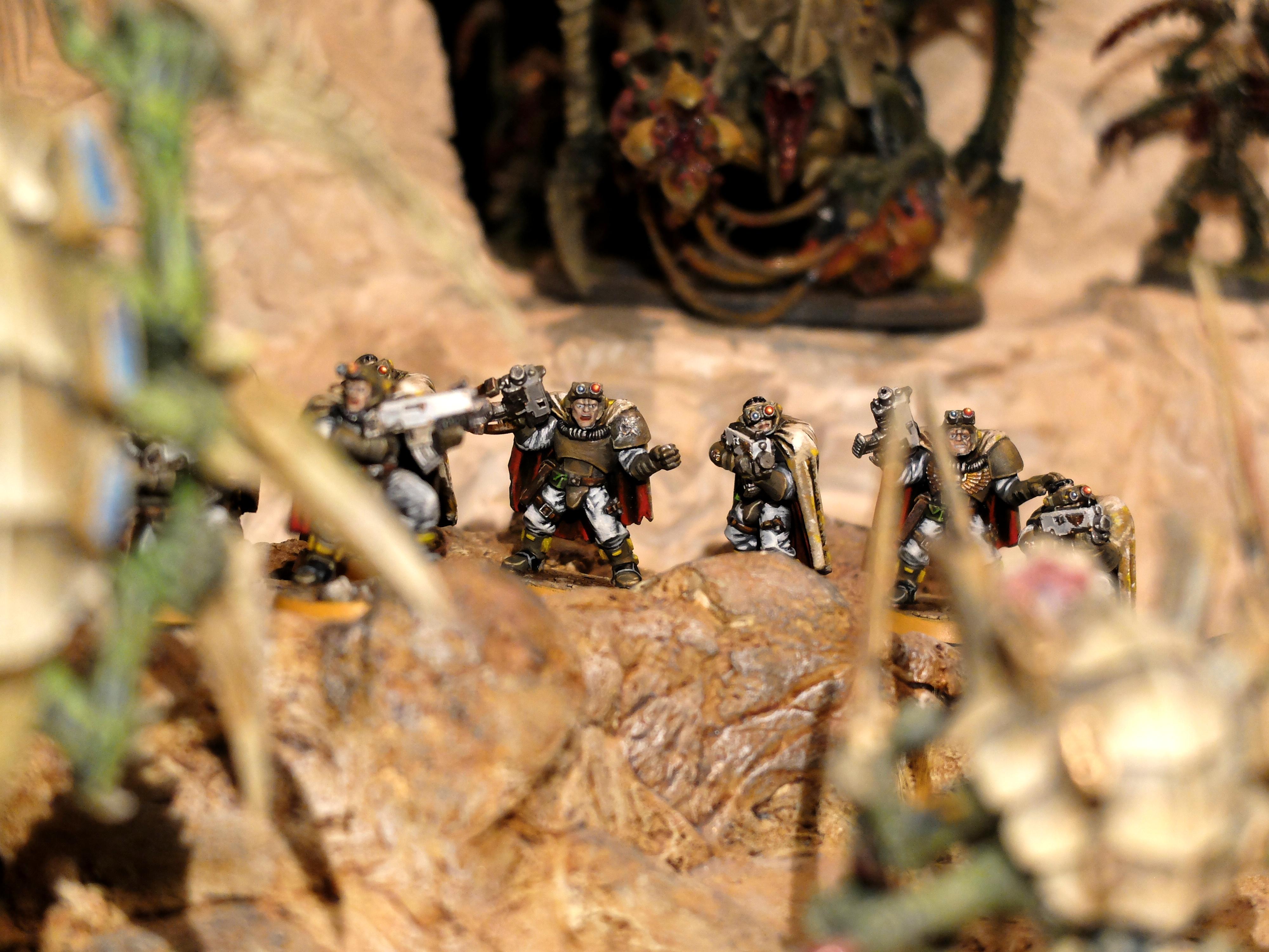 Desert, Scouts, Space Marines