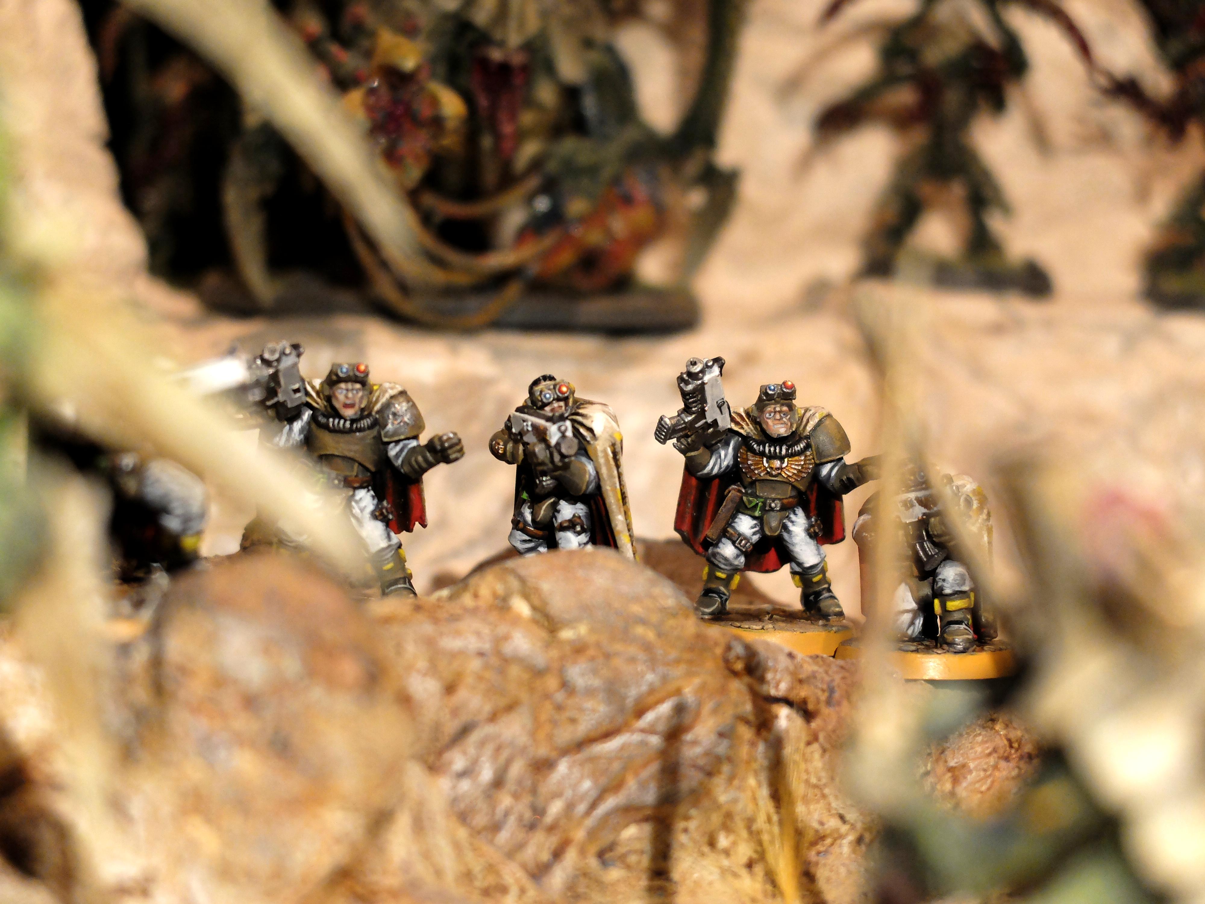 Desert, Scouts, Space Marines
