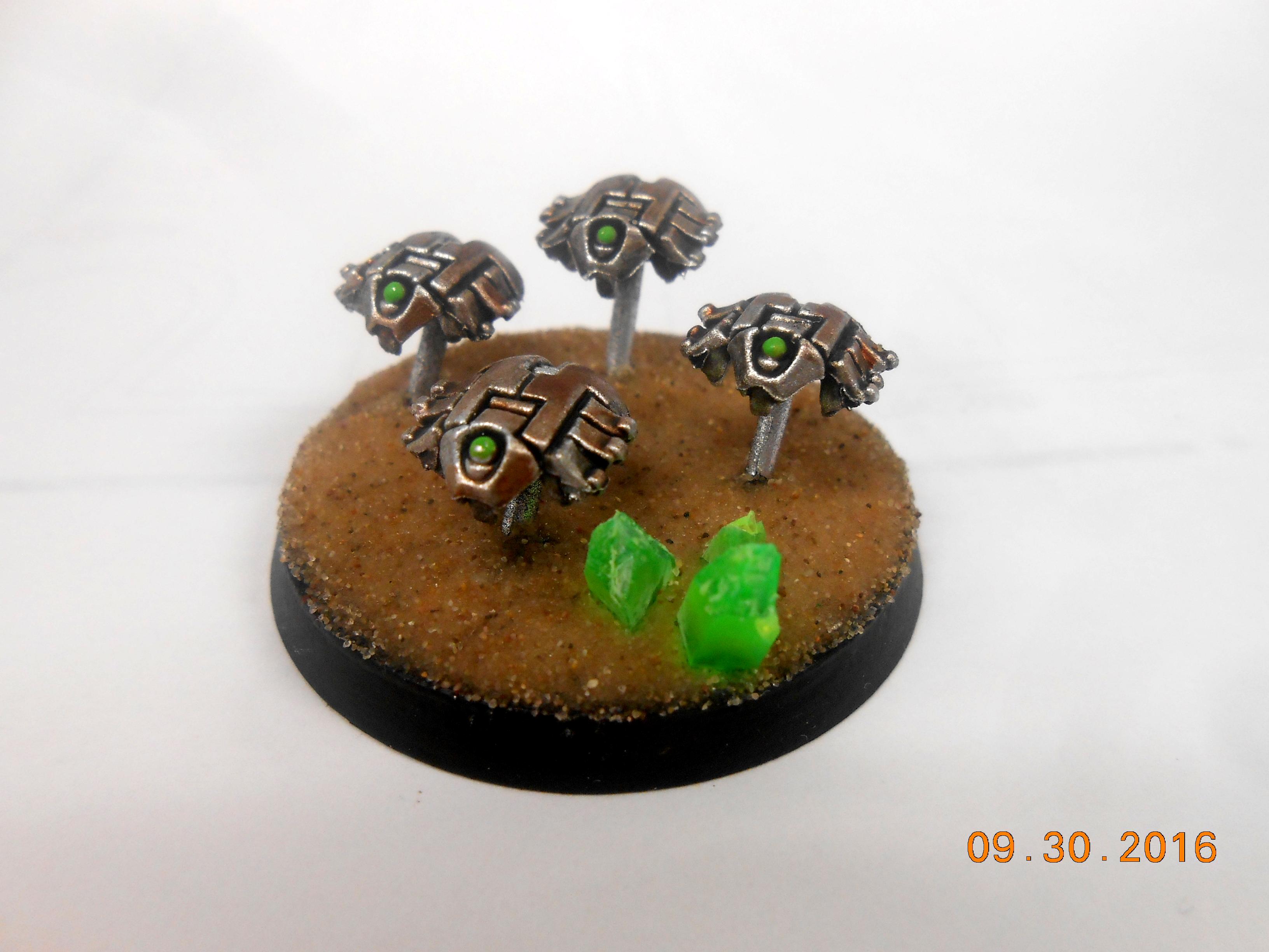 Scarabs