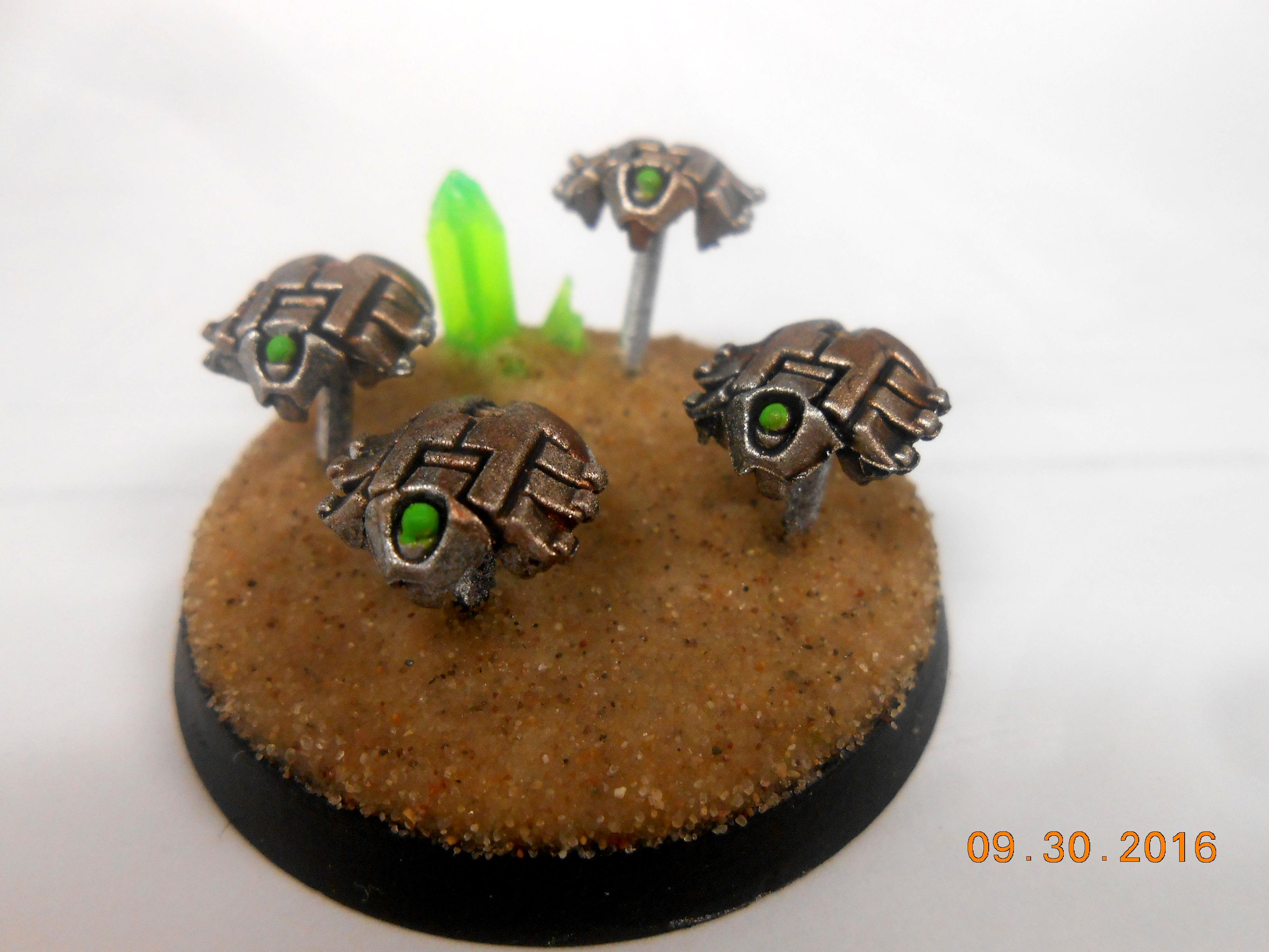 Scarabs
