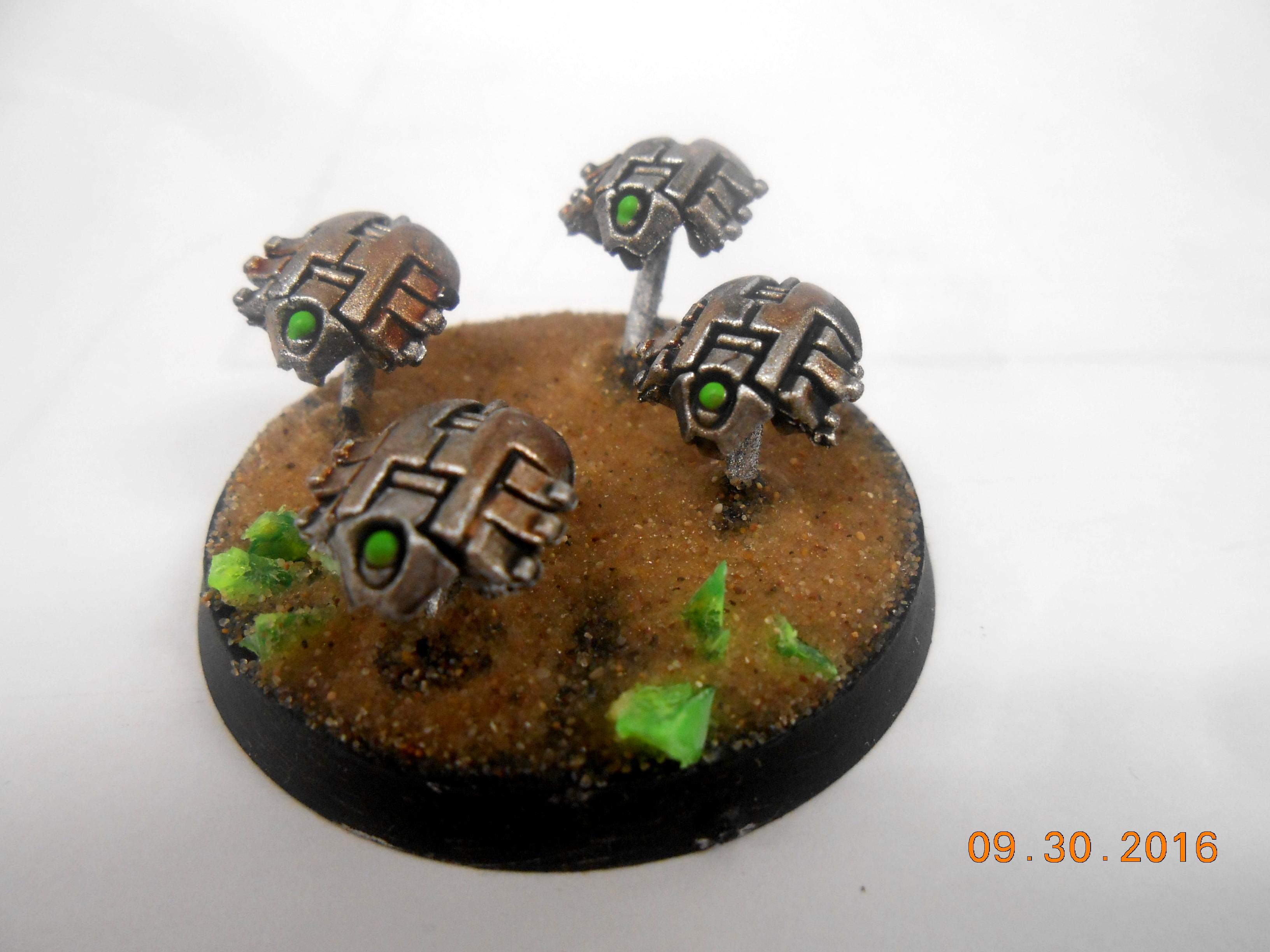 Scarabs