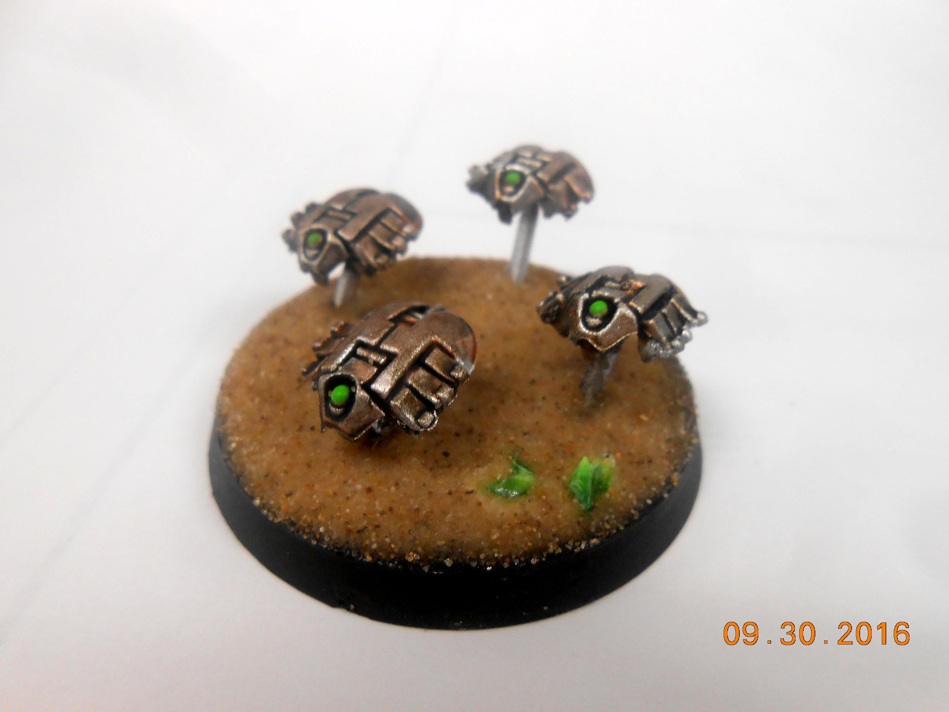 Scarabs