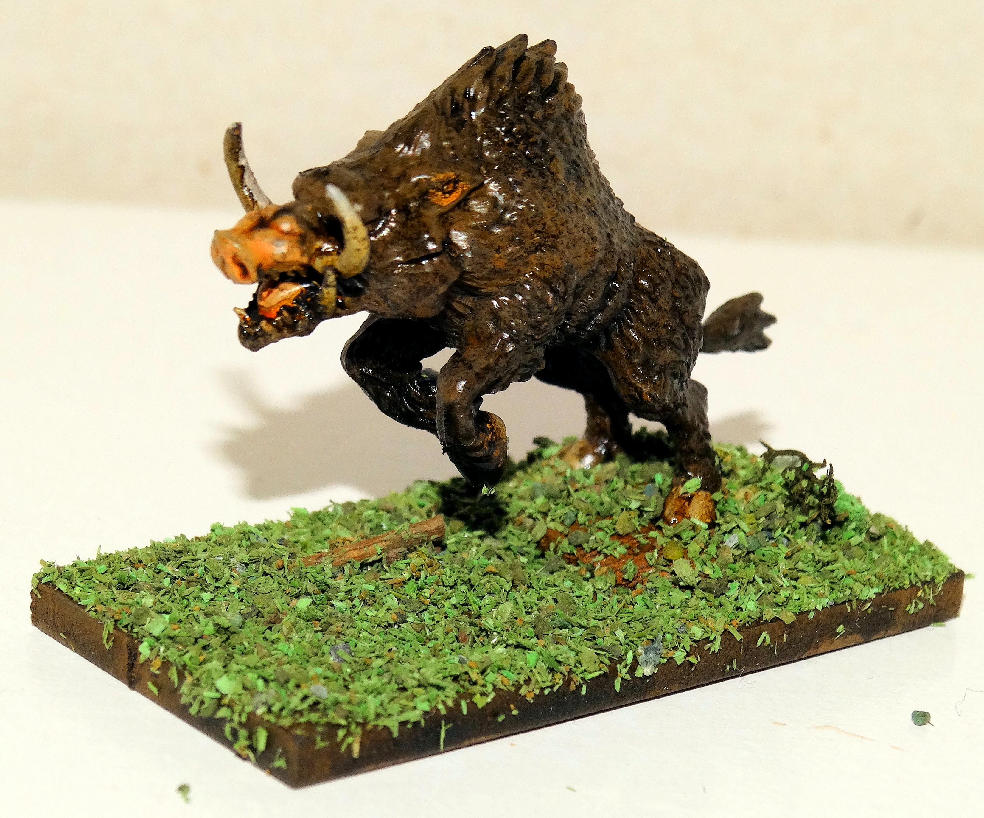 Boar