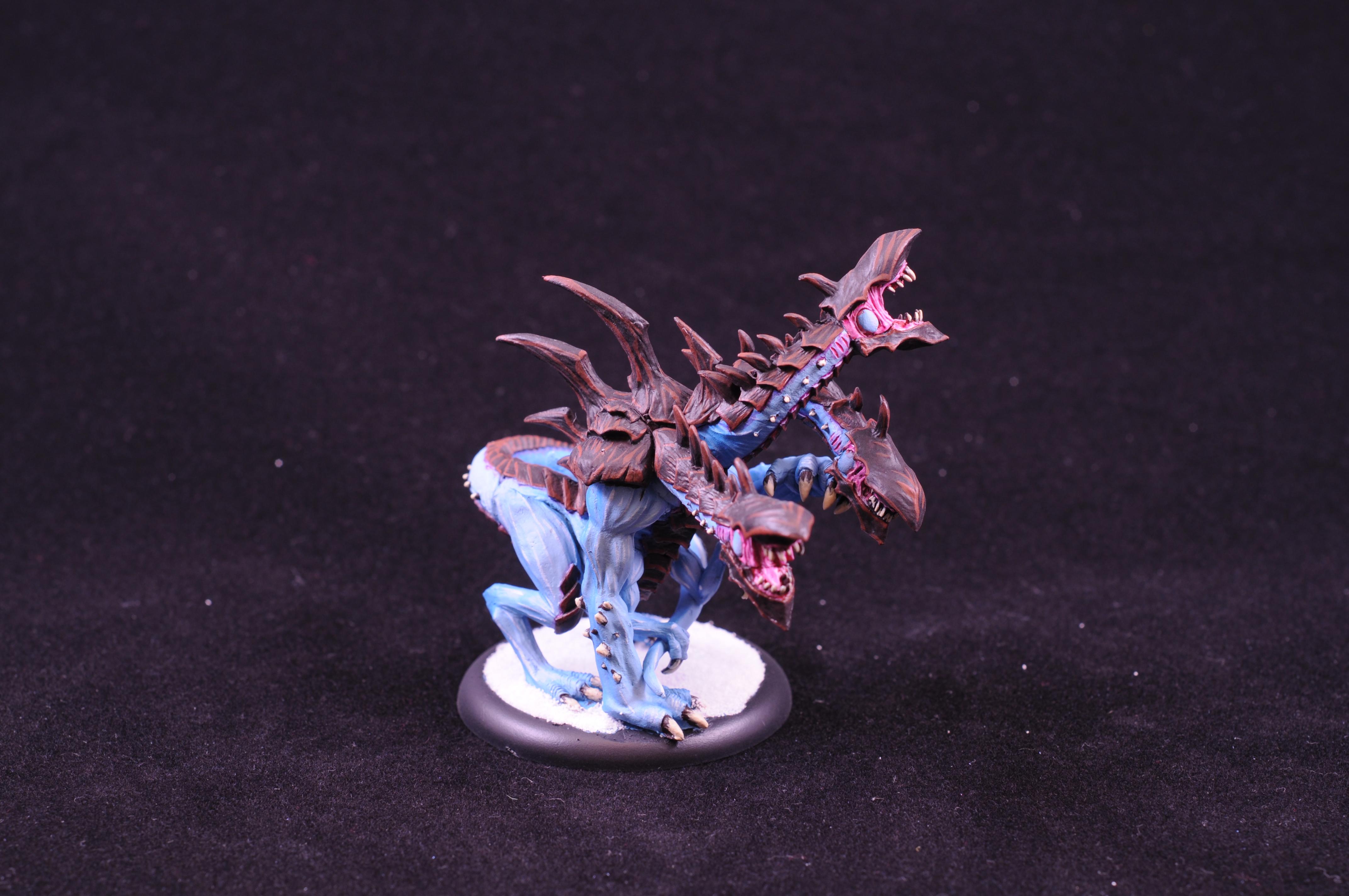 Typhus