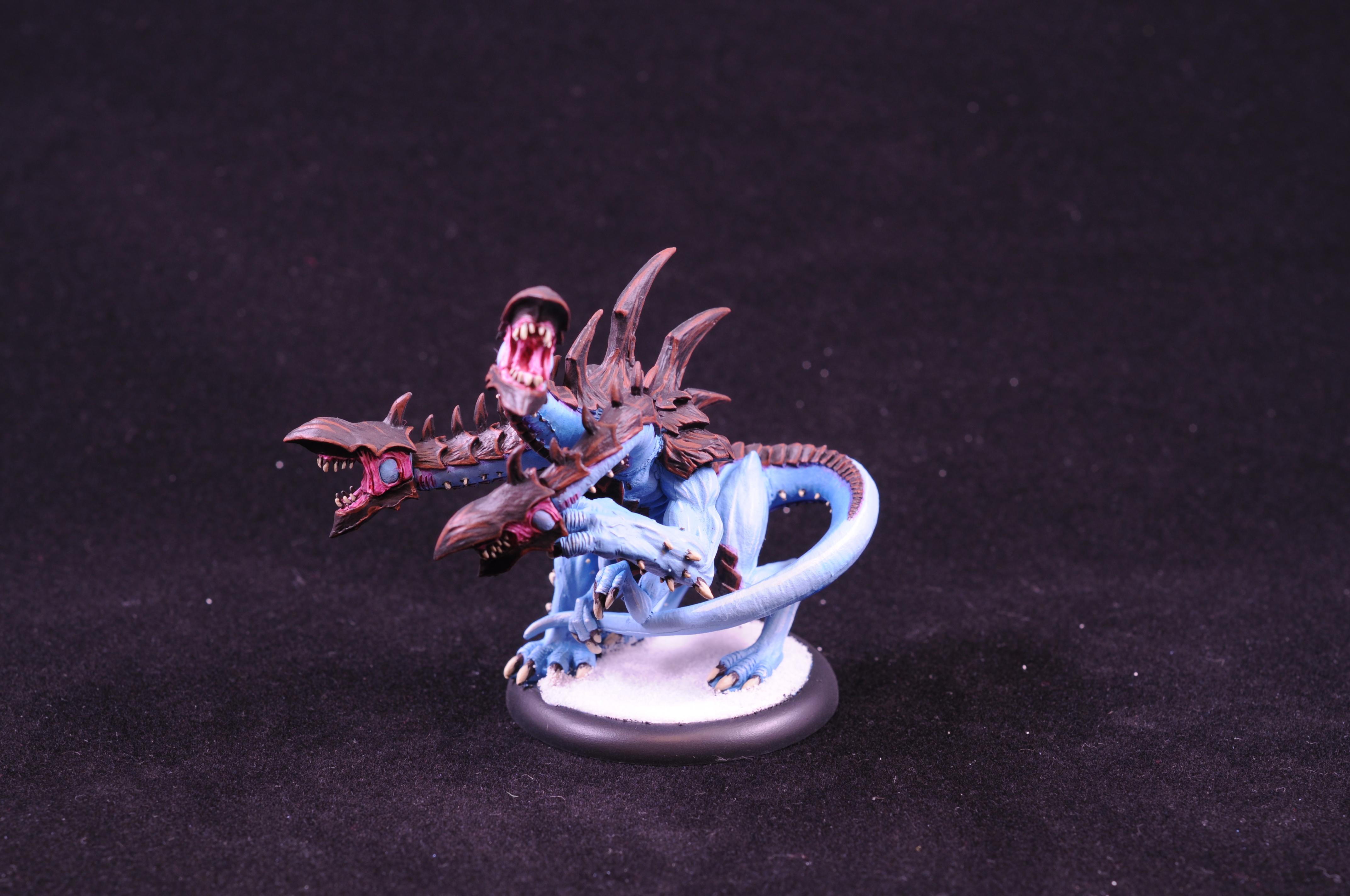 Typhus