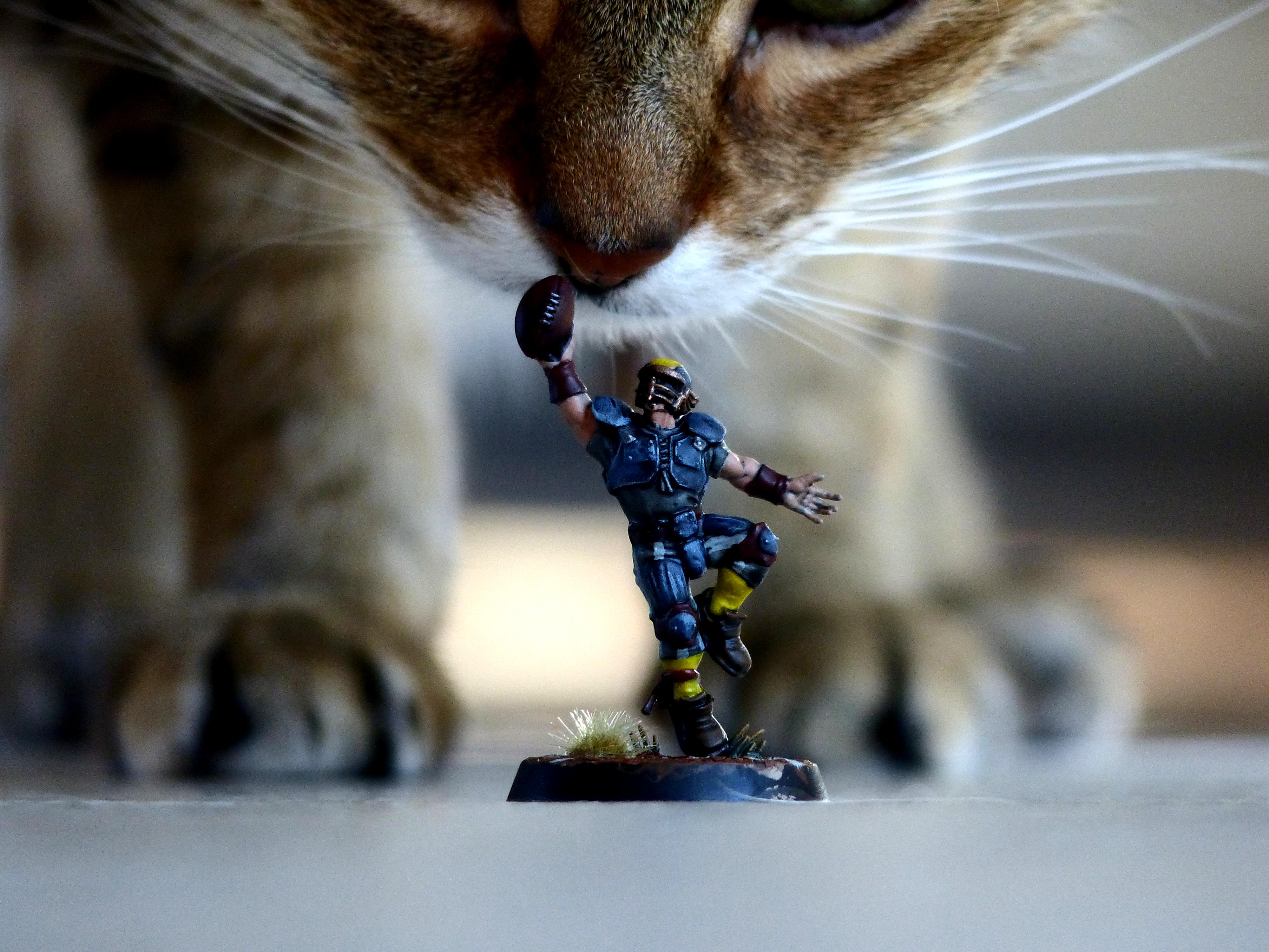 Blood Bowl, Humans