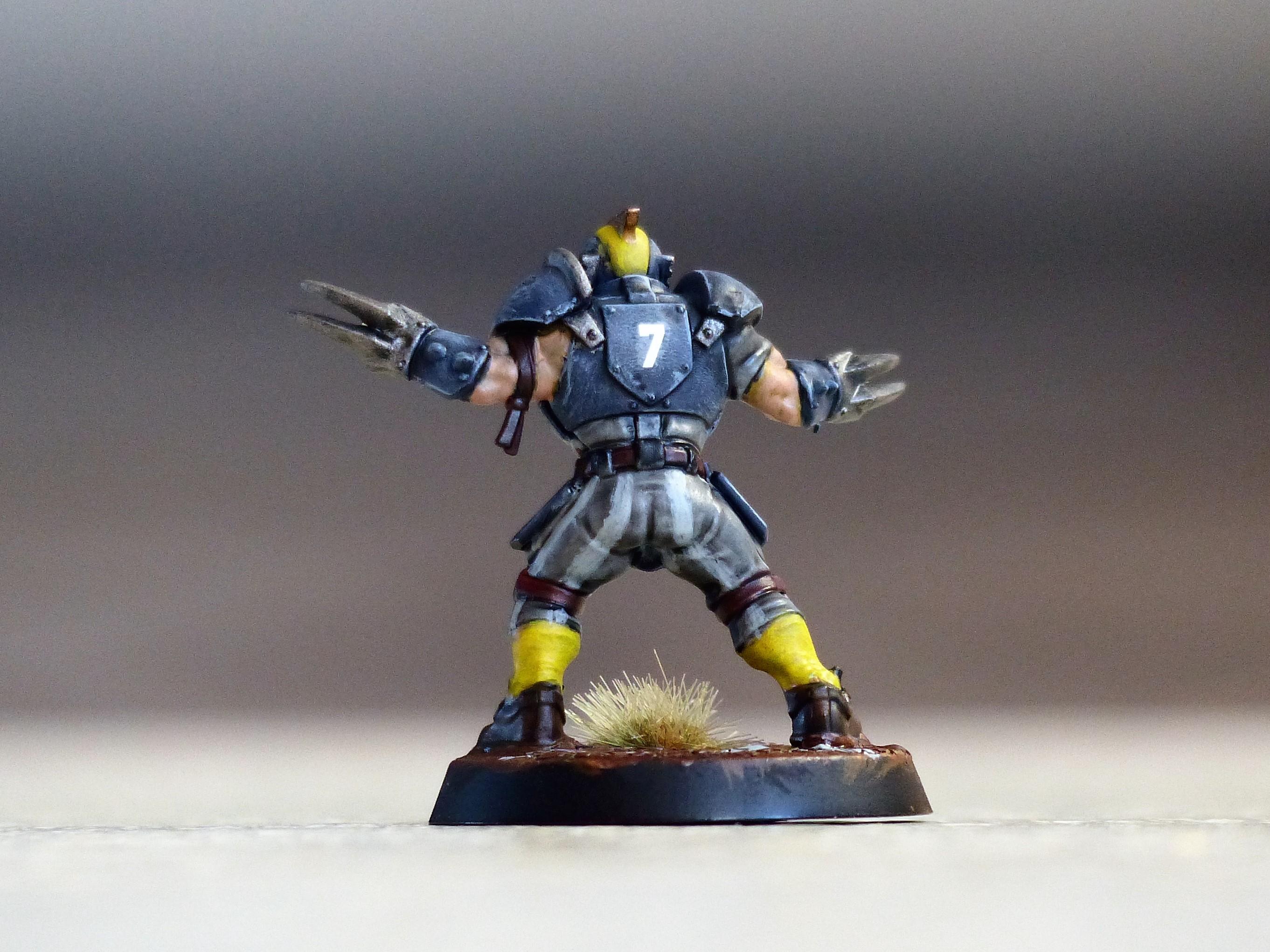 Blood Bowl, Humans